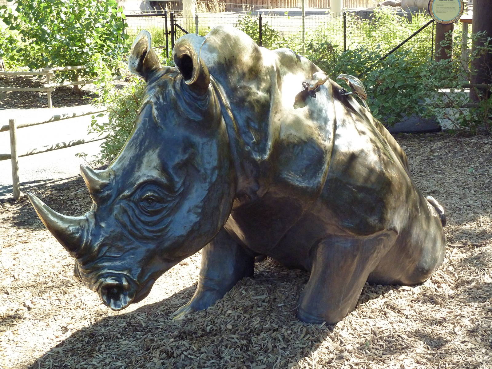 Rhino Statue