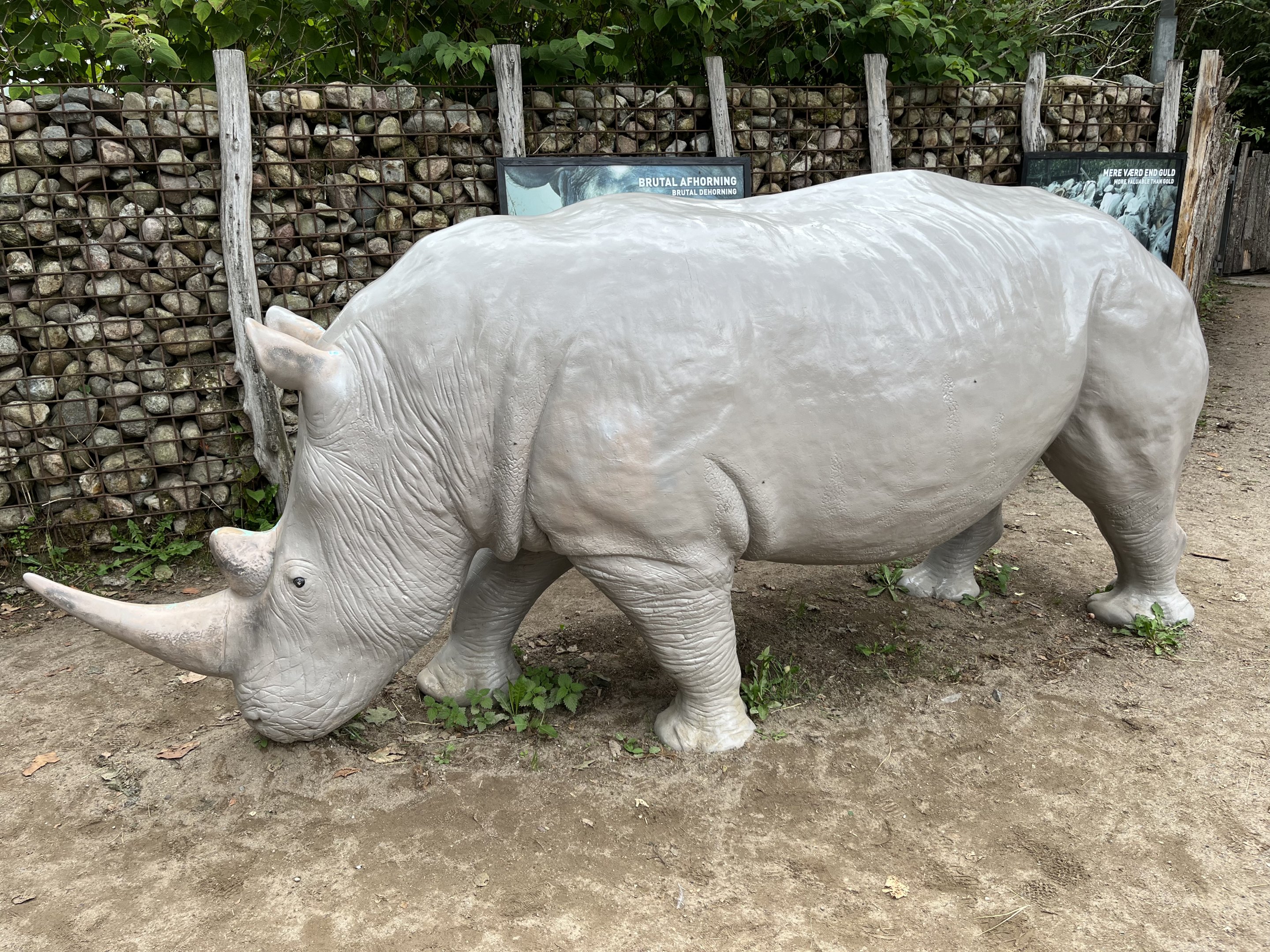 Rhino Statue
