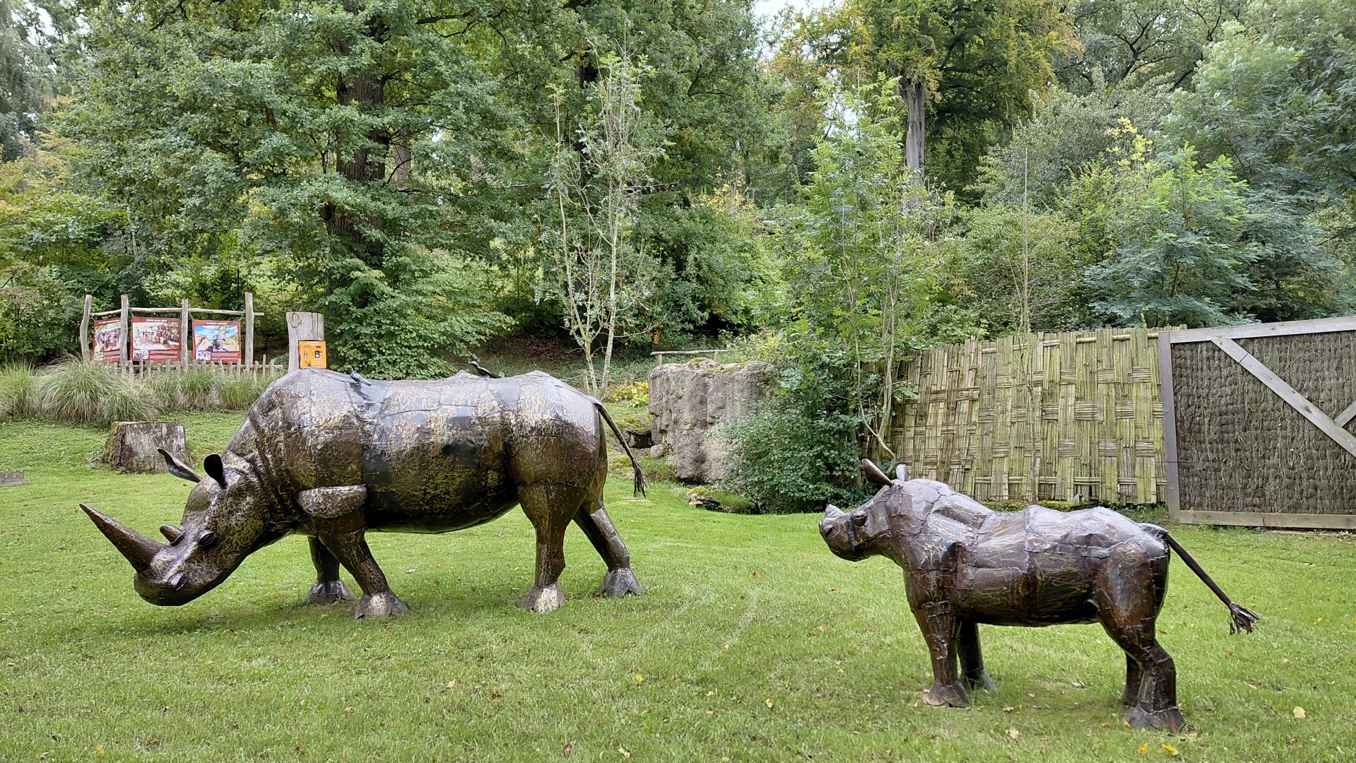 Rhino statues