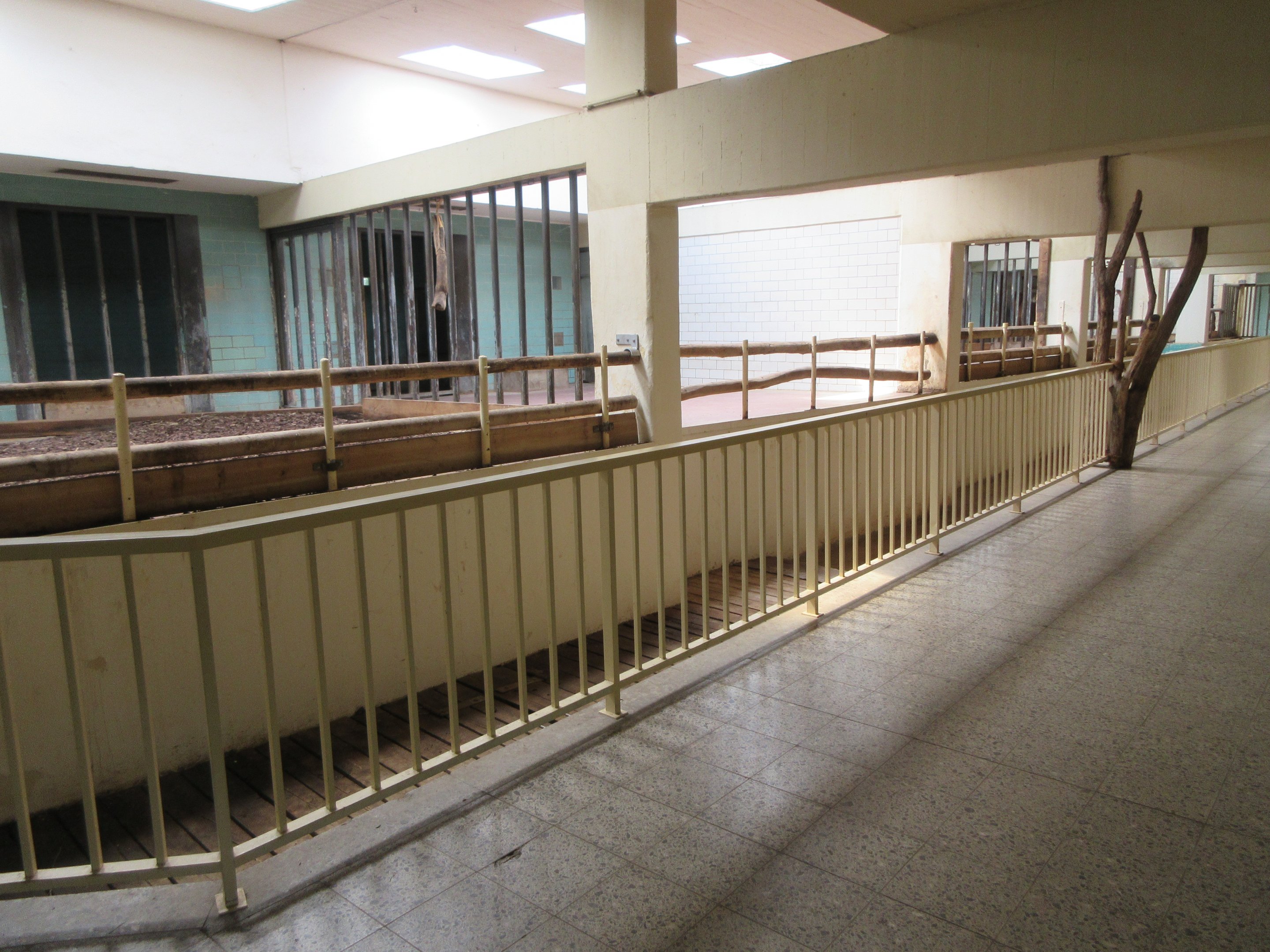 Rhino/Tapir House - indoor quarters