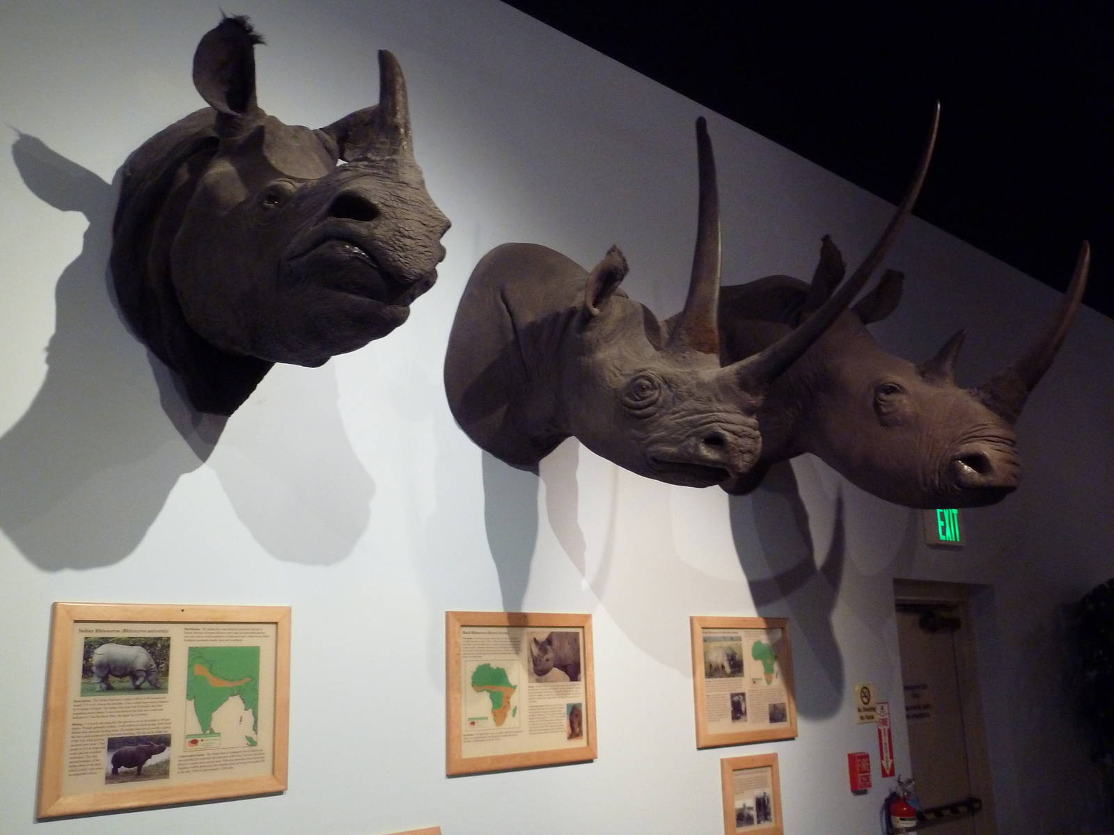 Rhino Trio (Indian, Black + White)