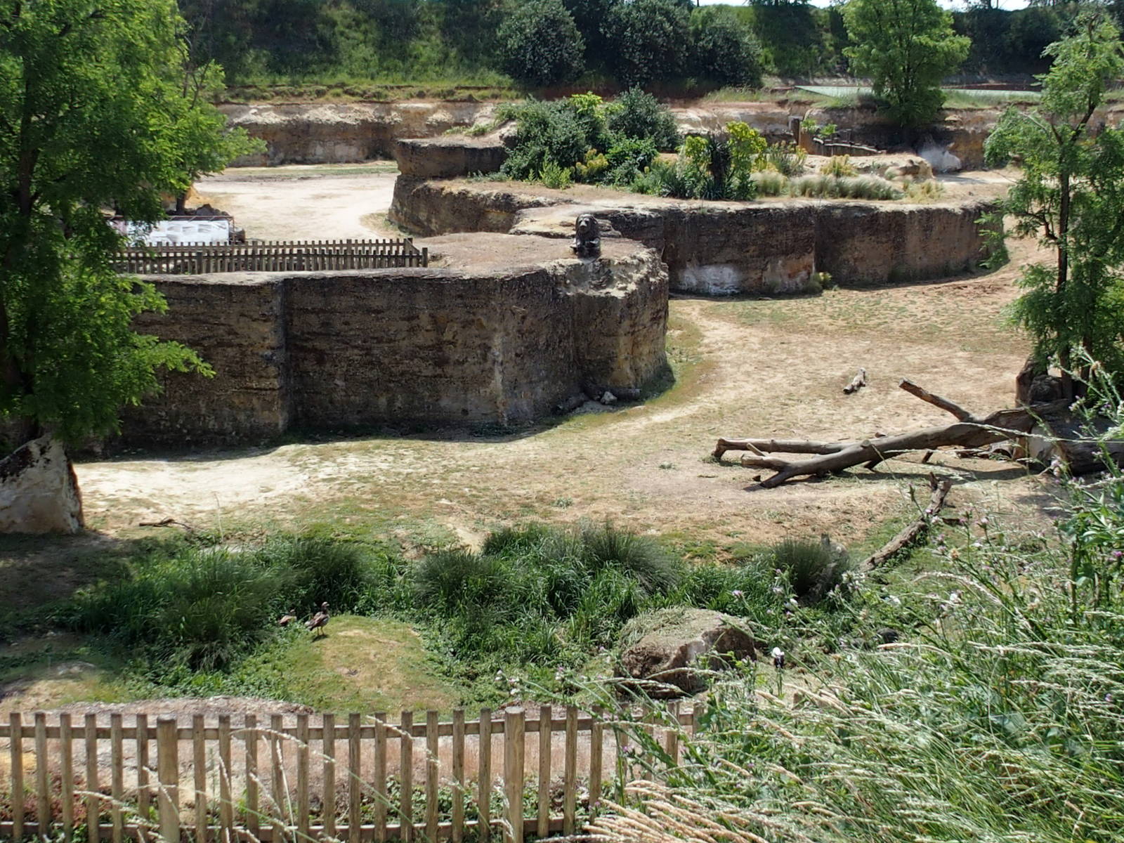 Rhino valley a closer look