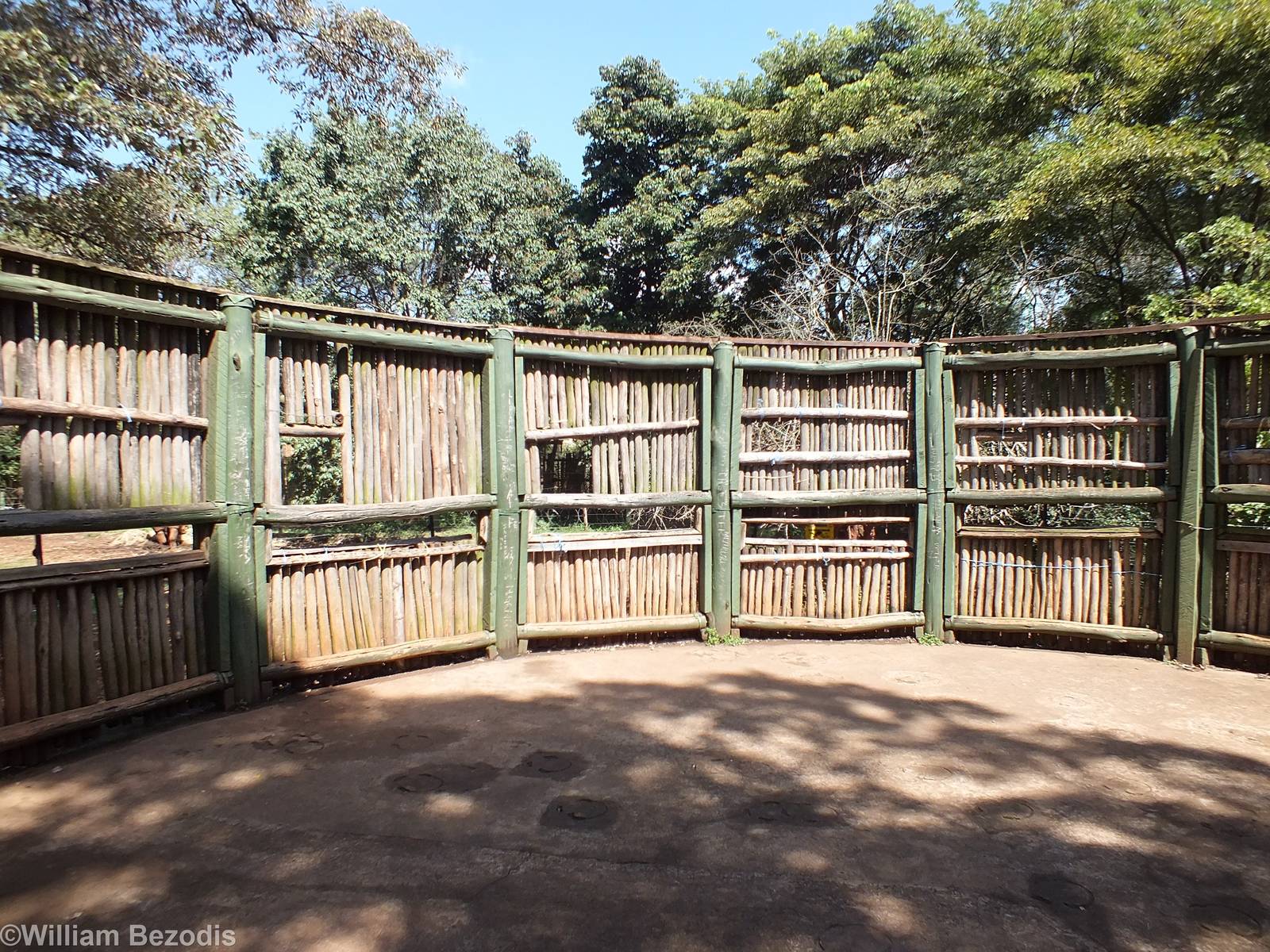 Rhino Viewing - Nairobi Safari Walk