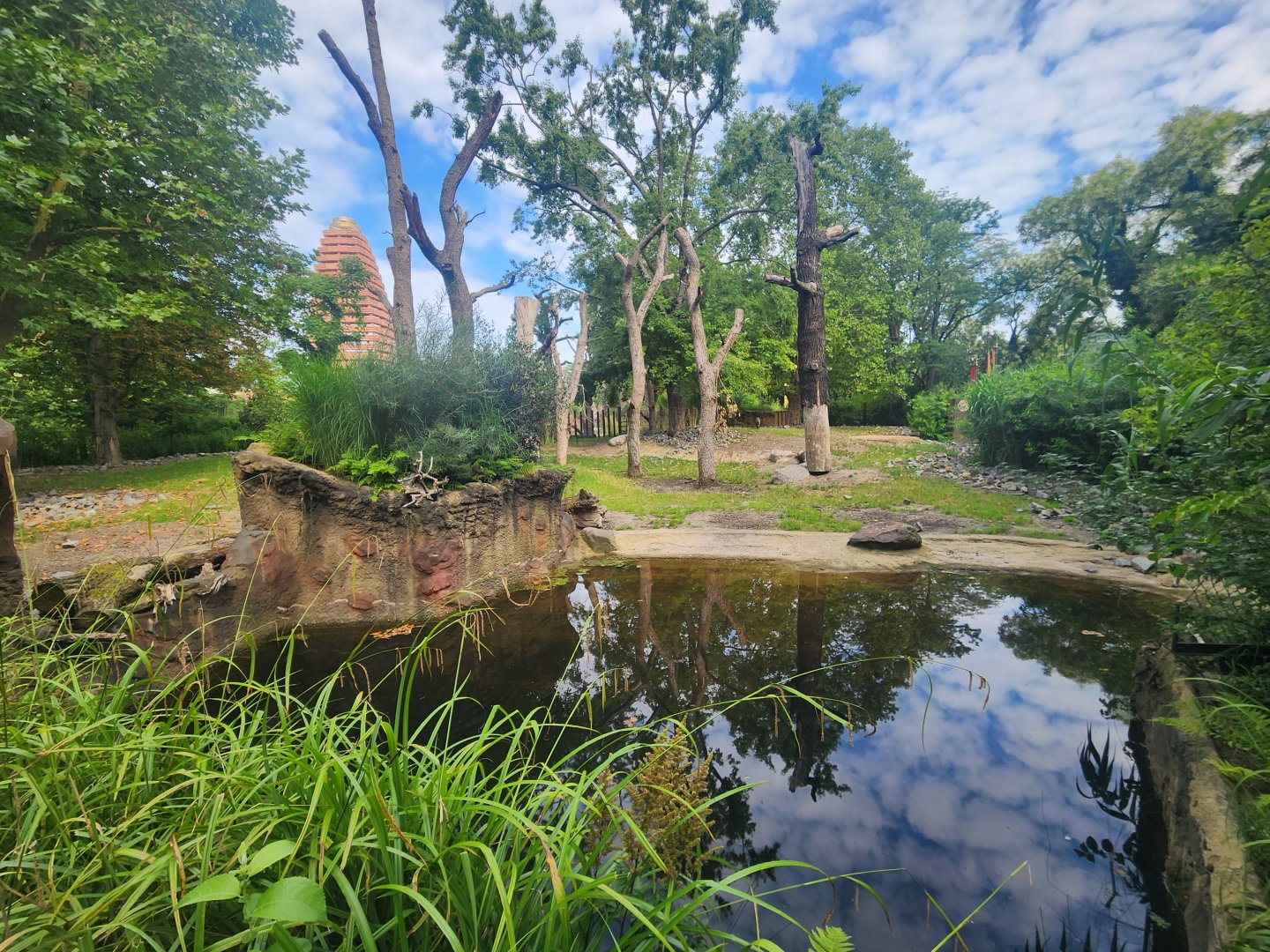 Rhino / Visayan Wart Pog Exhibit #2