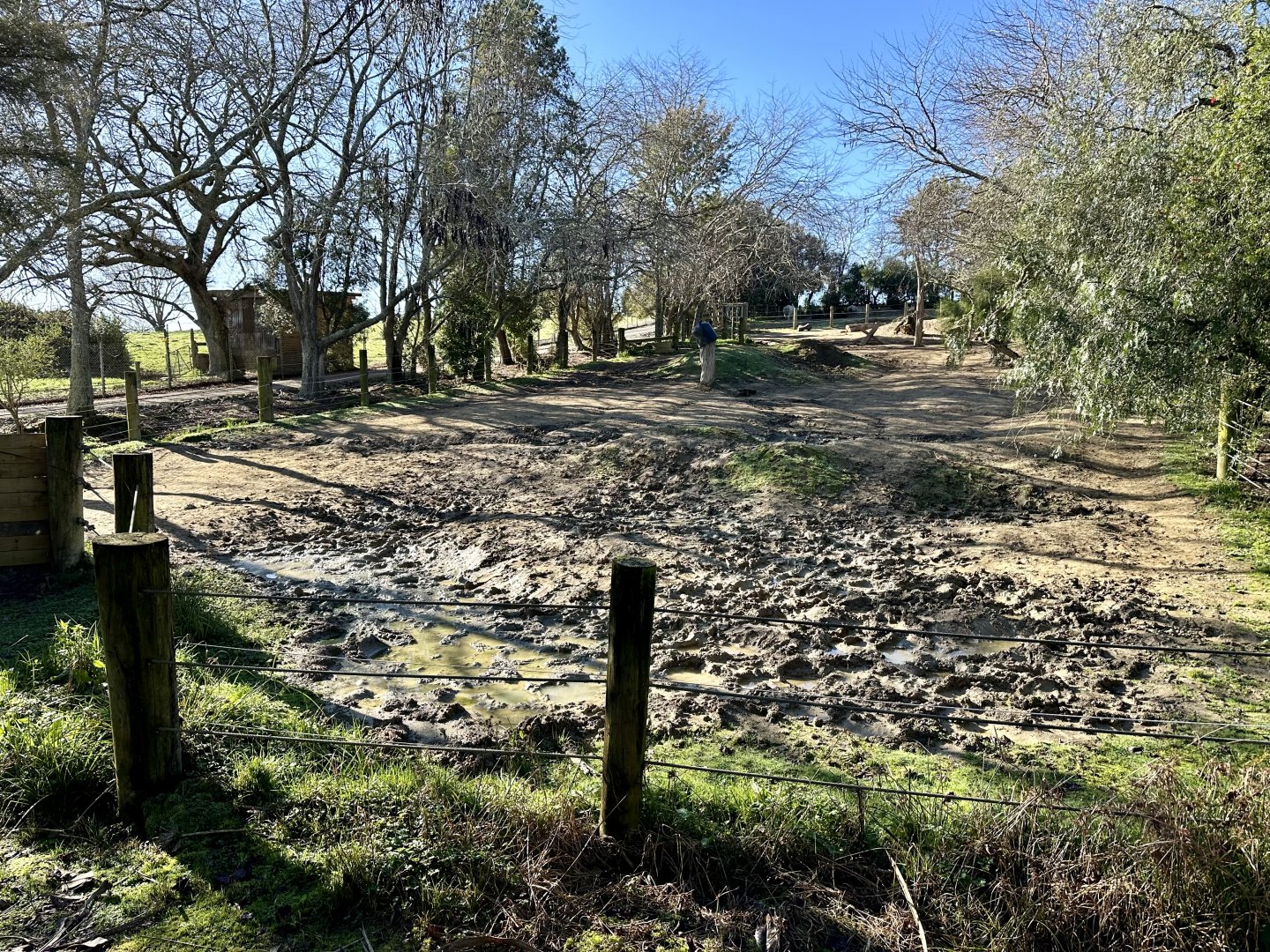 Rhino Wallow (Lower Paddock)