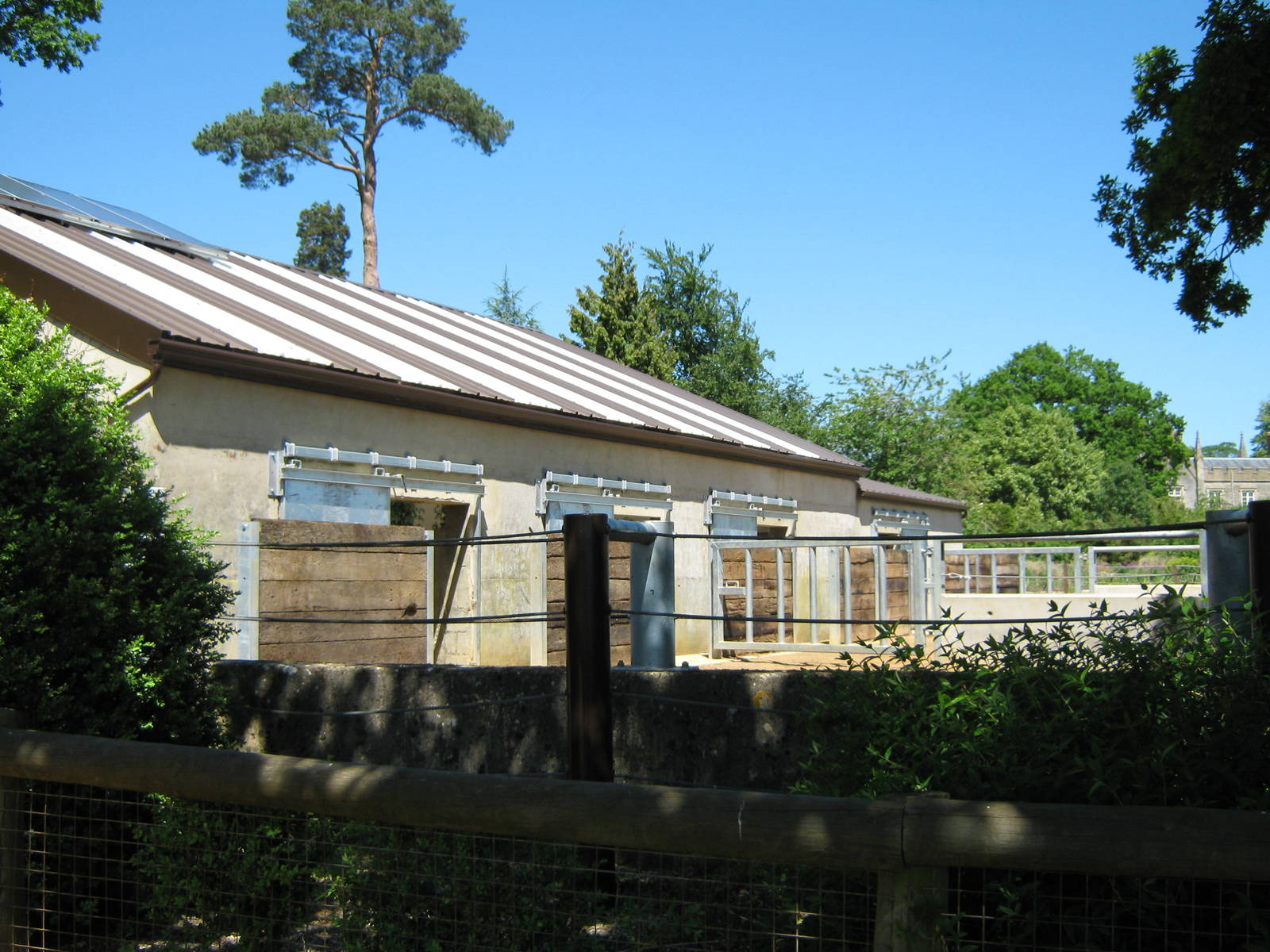 Rhino yard and house