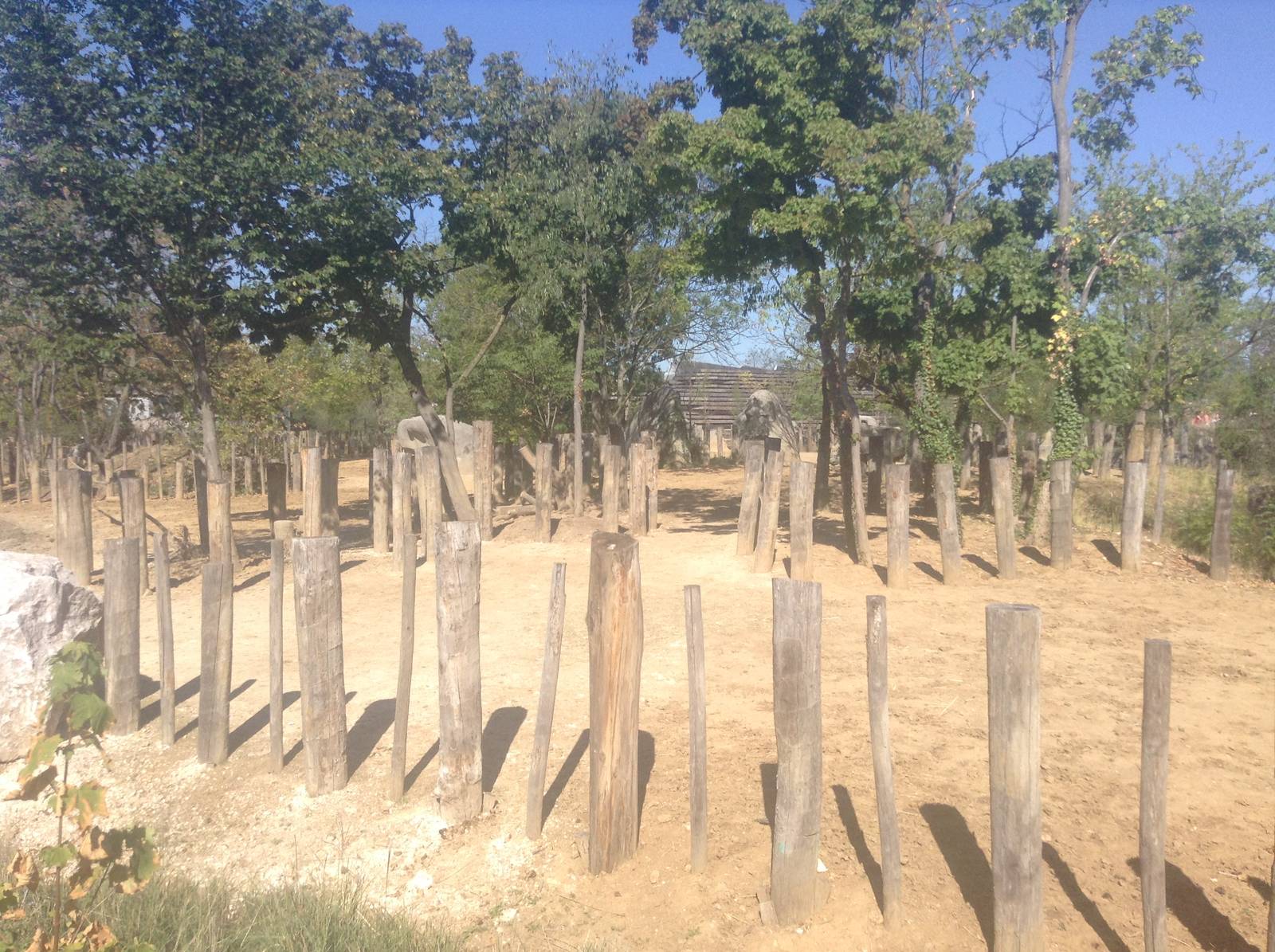 Rhino & Zebra Enclosure Pt 1