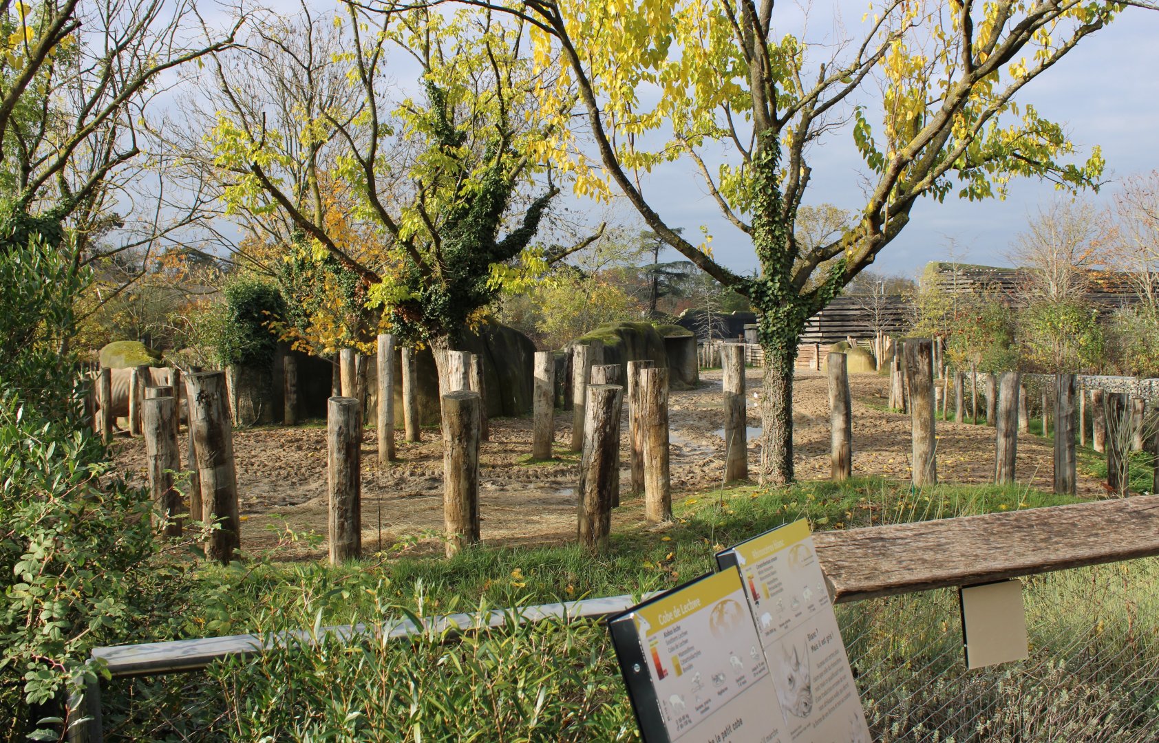 Rhino - Zebra - Lechwe enclosure from the other side