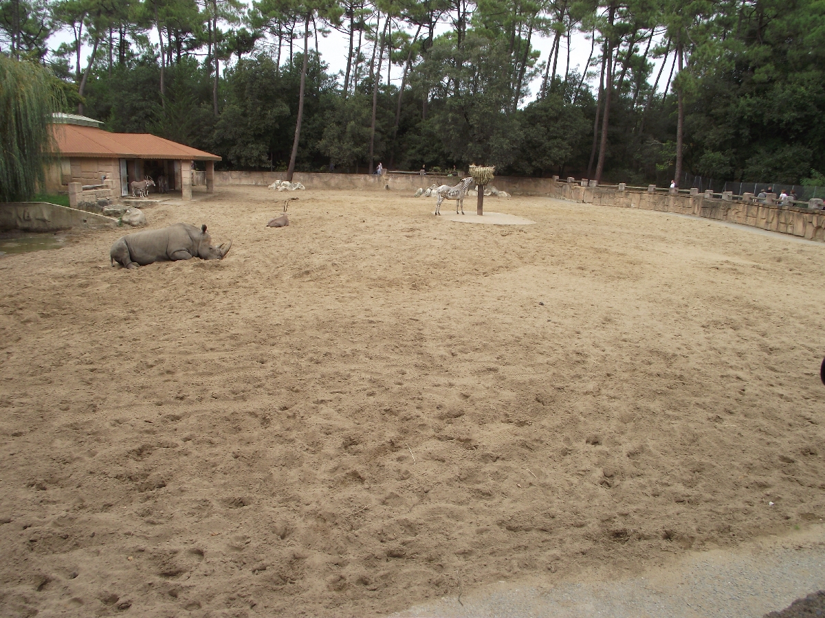 Rhino / Zebra Paddock