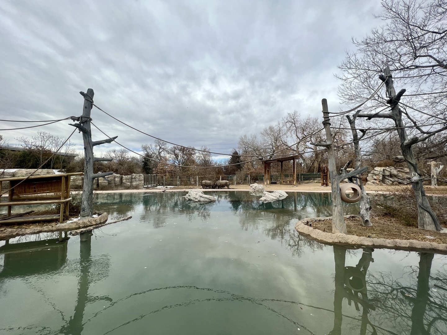 Rhinoceros and Gibbon Exhibits