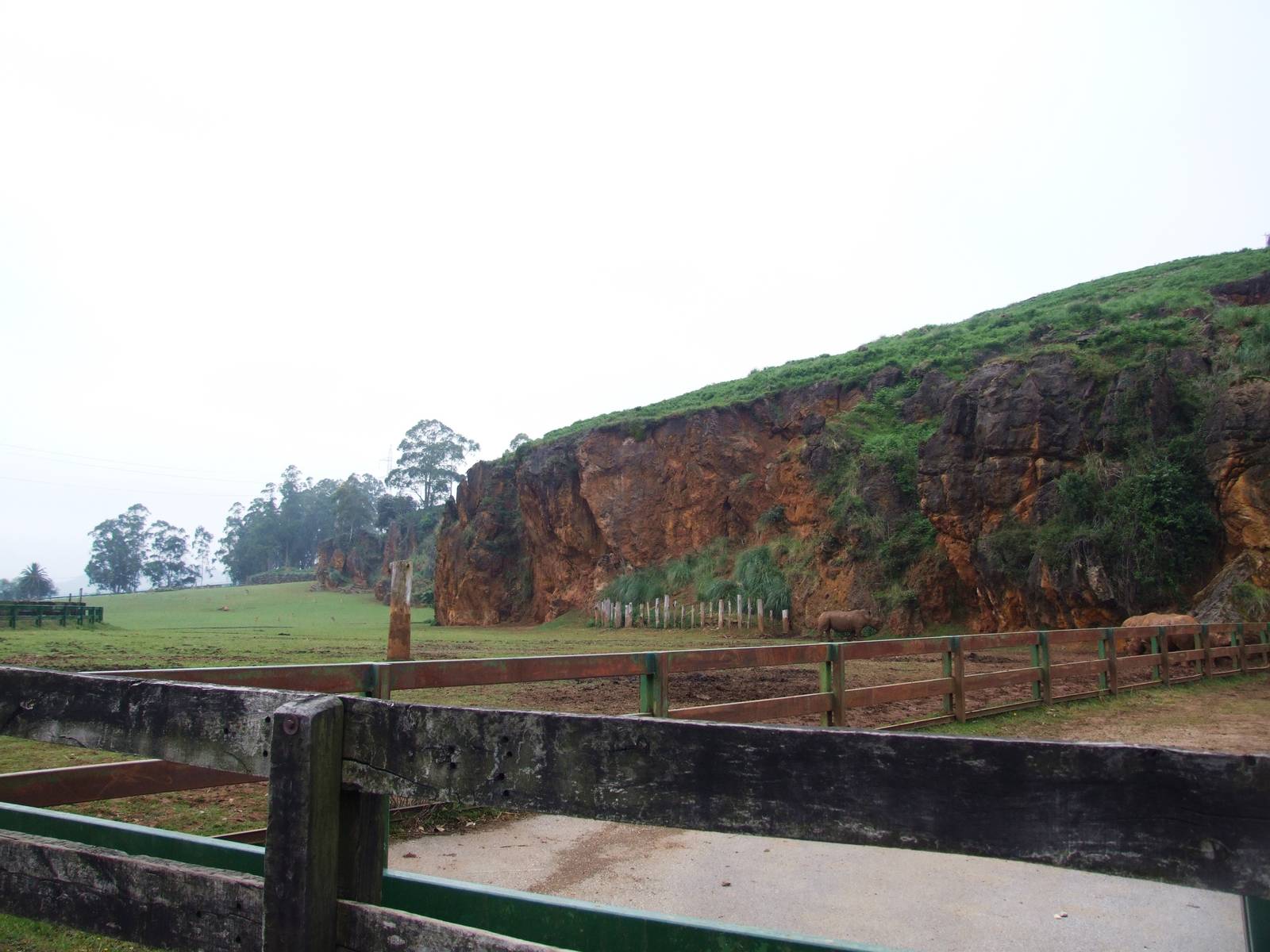 Rhinoceros Enclosure at Cabarceno, 11/06/15