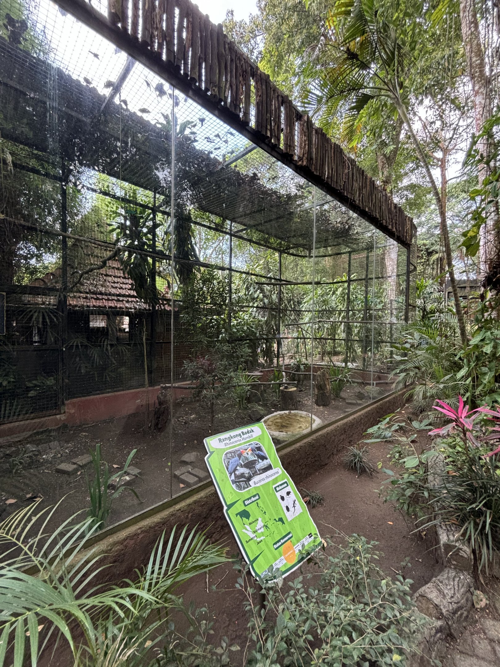 Rhinoceros Hornbill Aviary #1 - Bird Forest