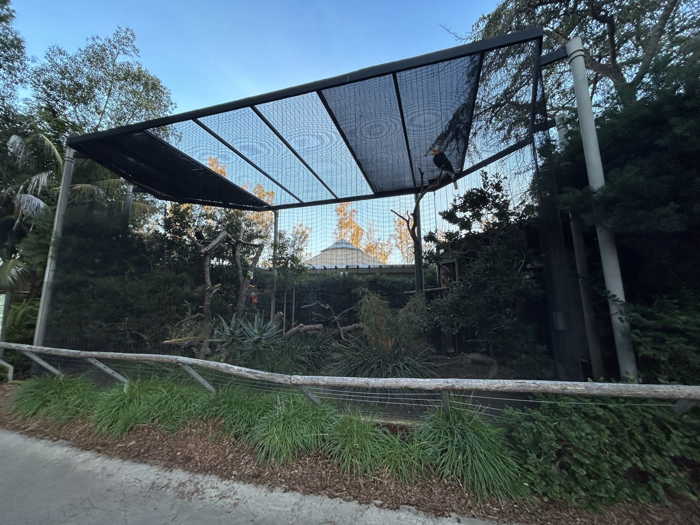 Rhinoceros Hornbill Aviary - Nairobi Village