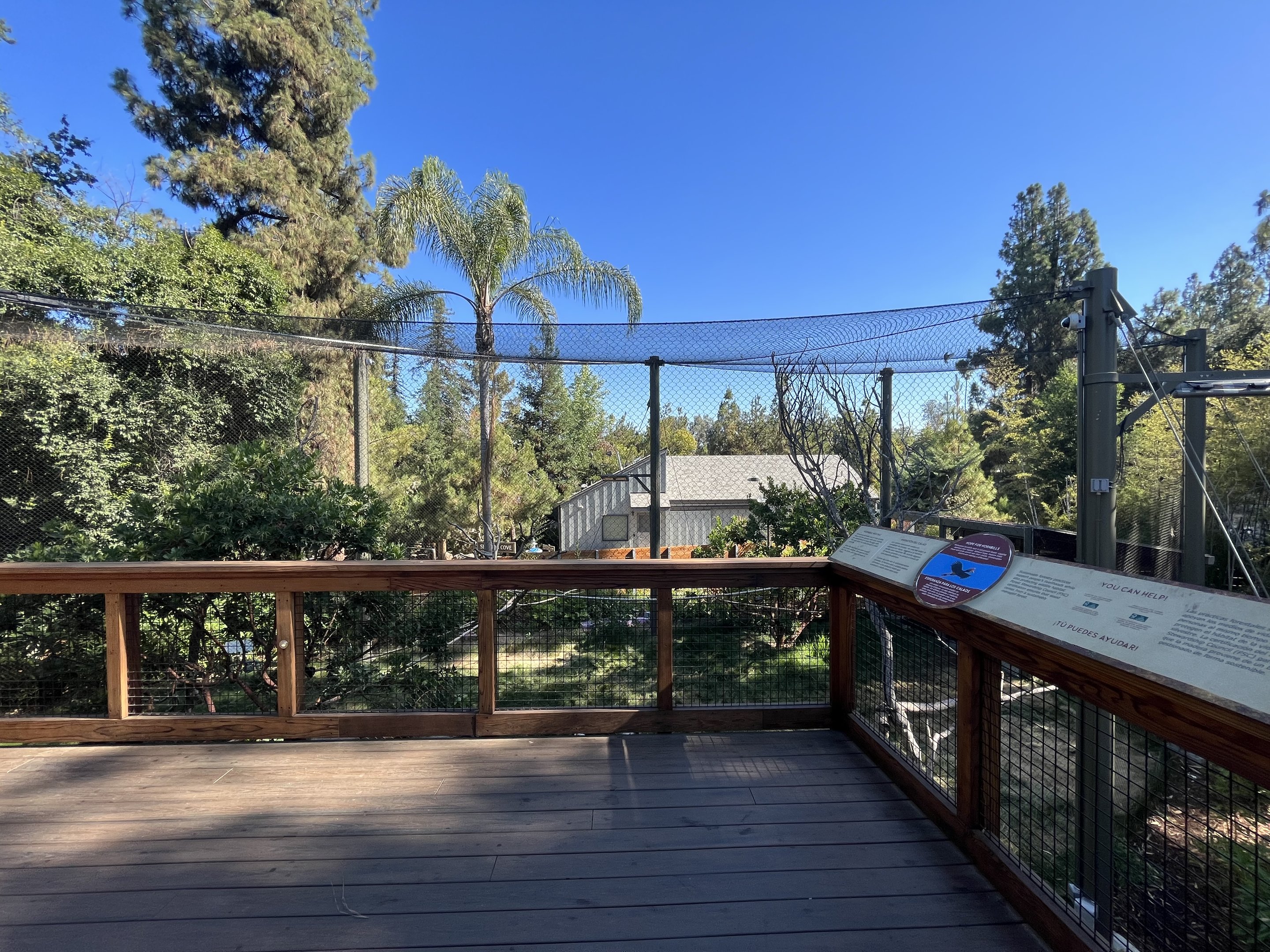 Rhinoceros Hornbill Aviary - New in 2023