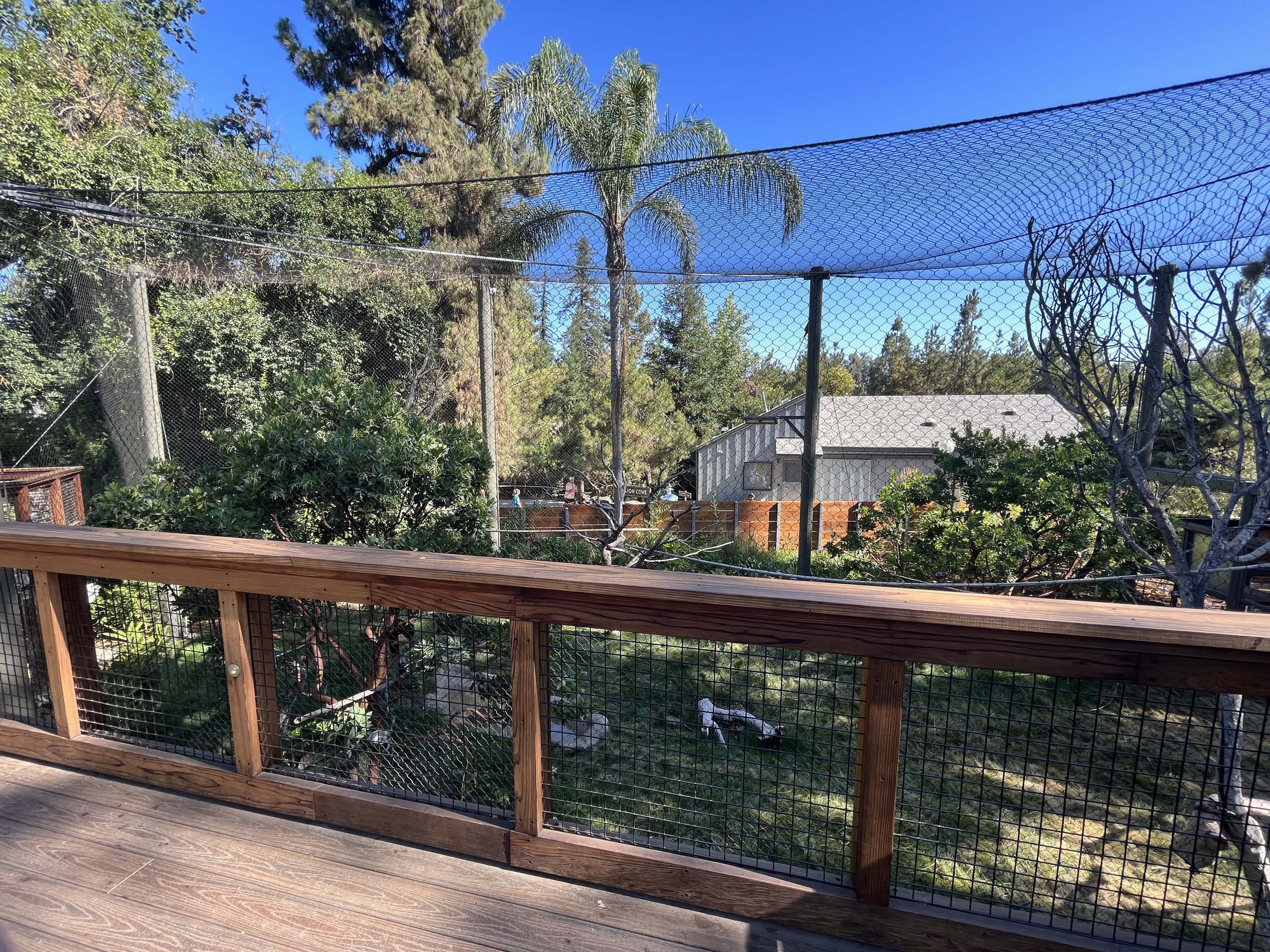 Rhinoceros Hornbill Aviary - New in 2023