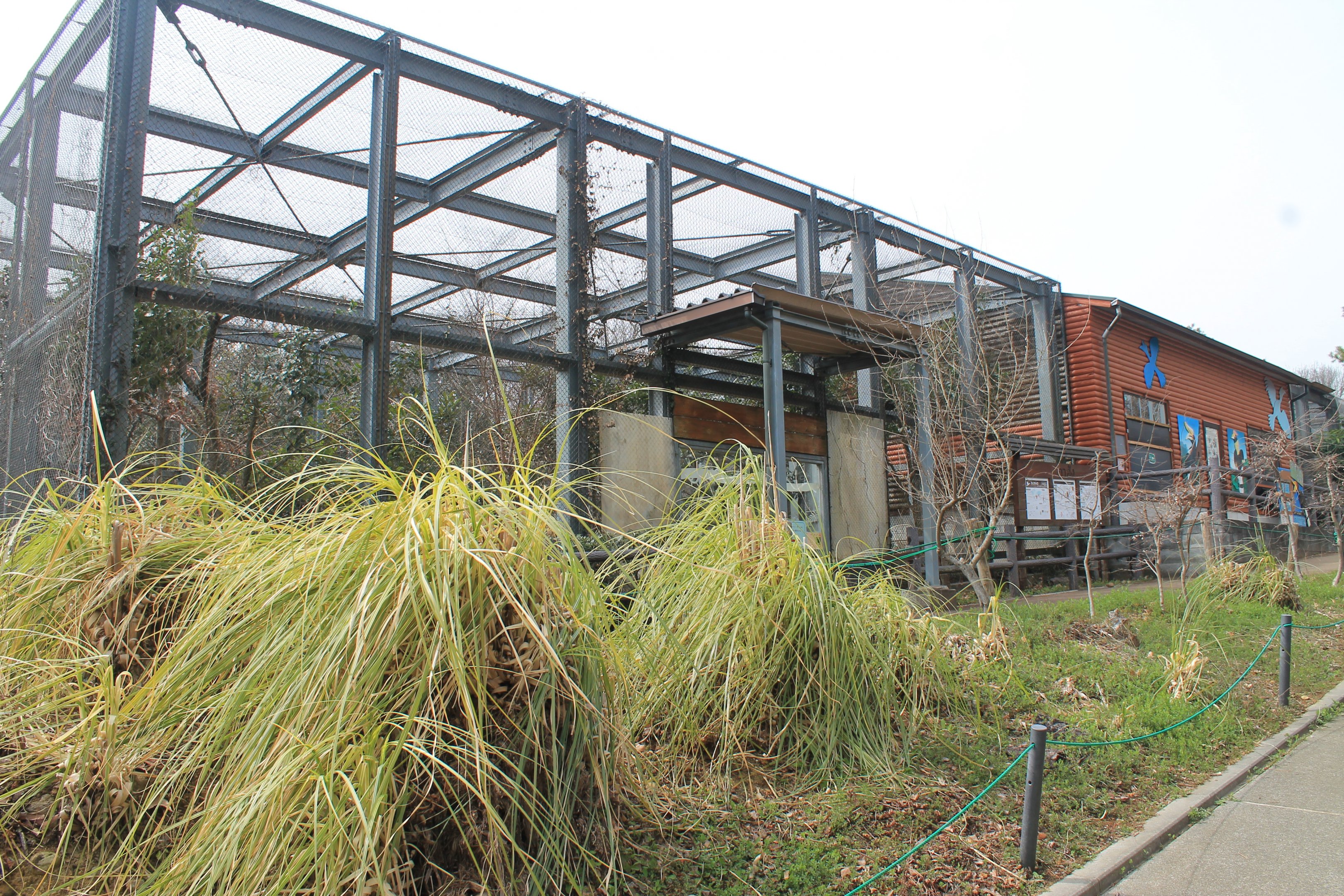 Rhinoceros Hornbill aviary - Saitama Childrens Zoo