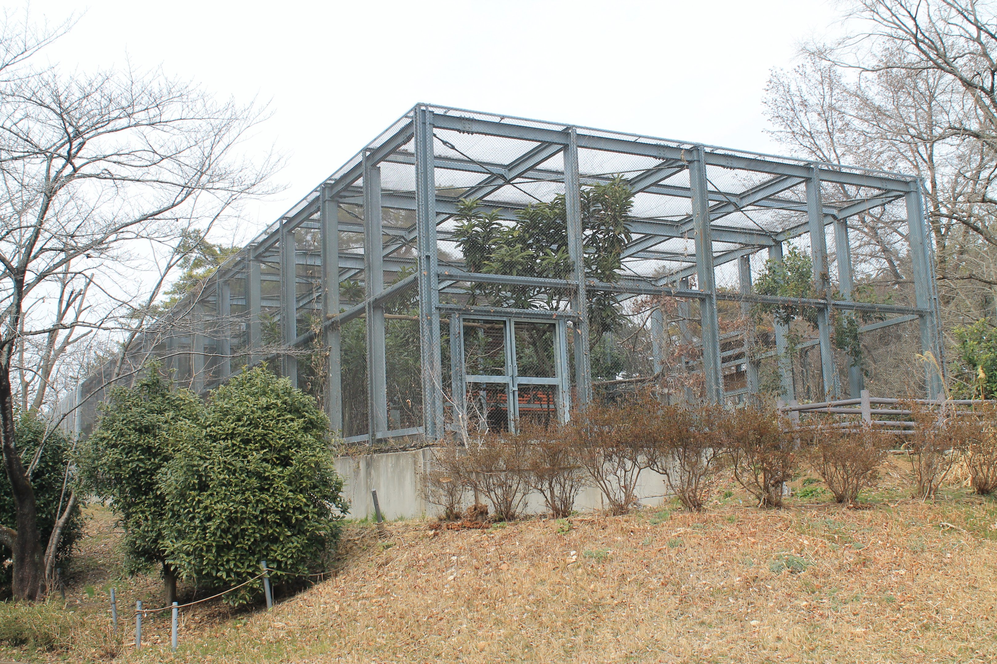 Rhinoceros Hornbill aviary - Saitama Childrens Zoo
