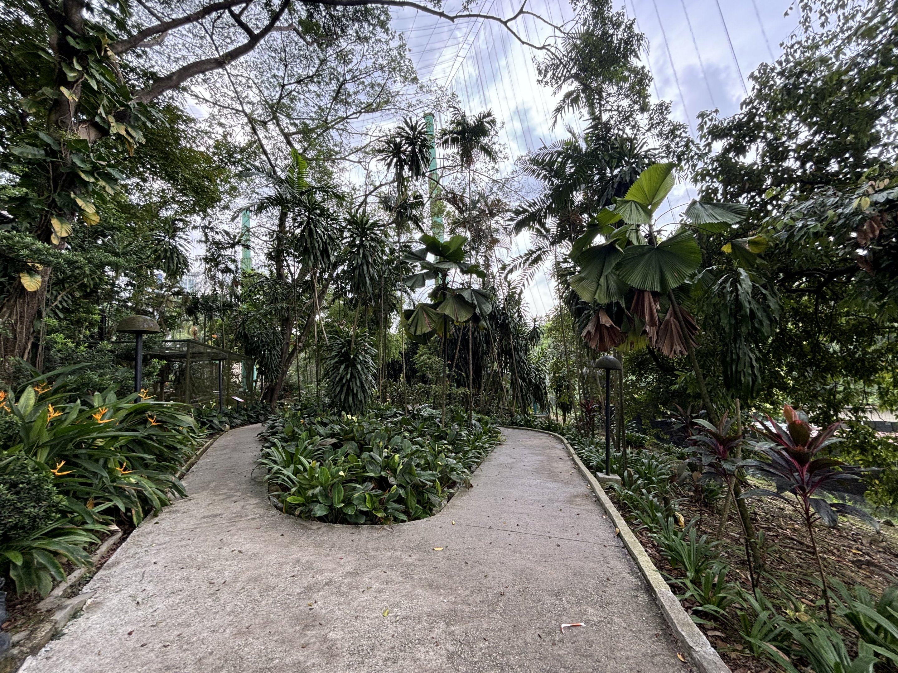 Rhinoceros Hornbill Aviary (walk-through)