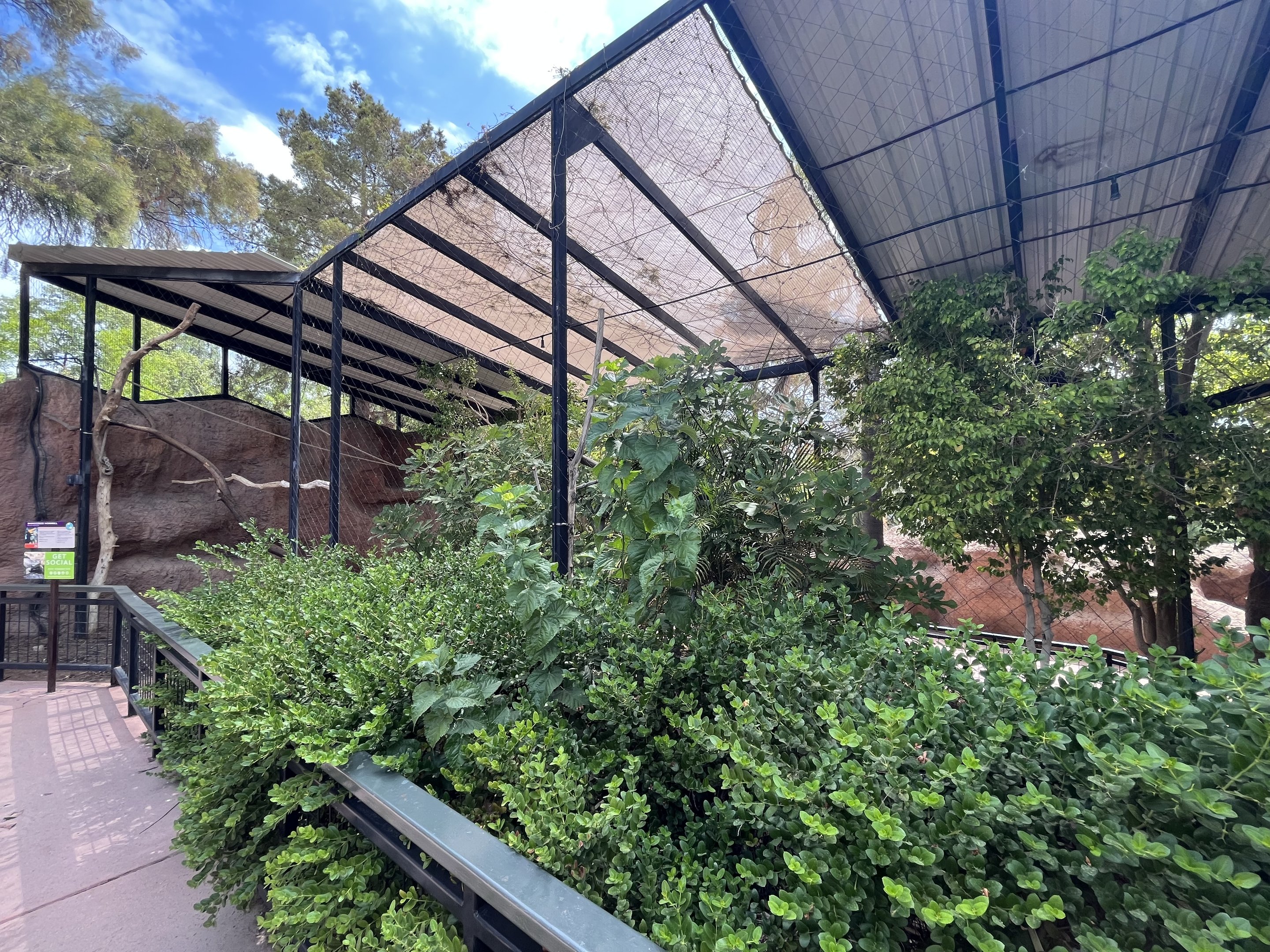 Rhinoceros Hornbill Aviary