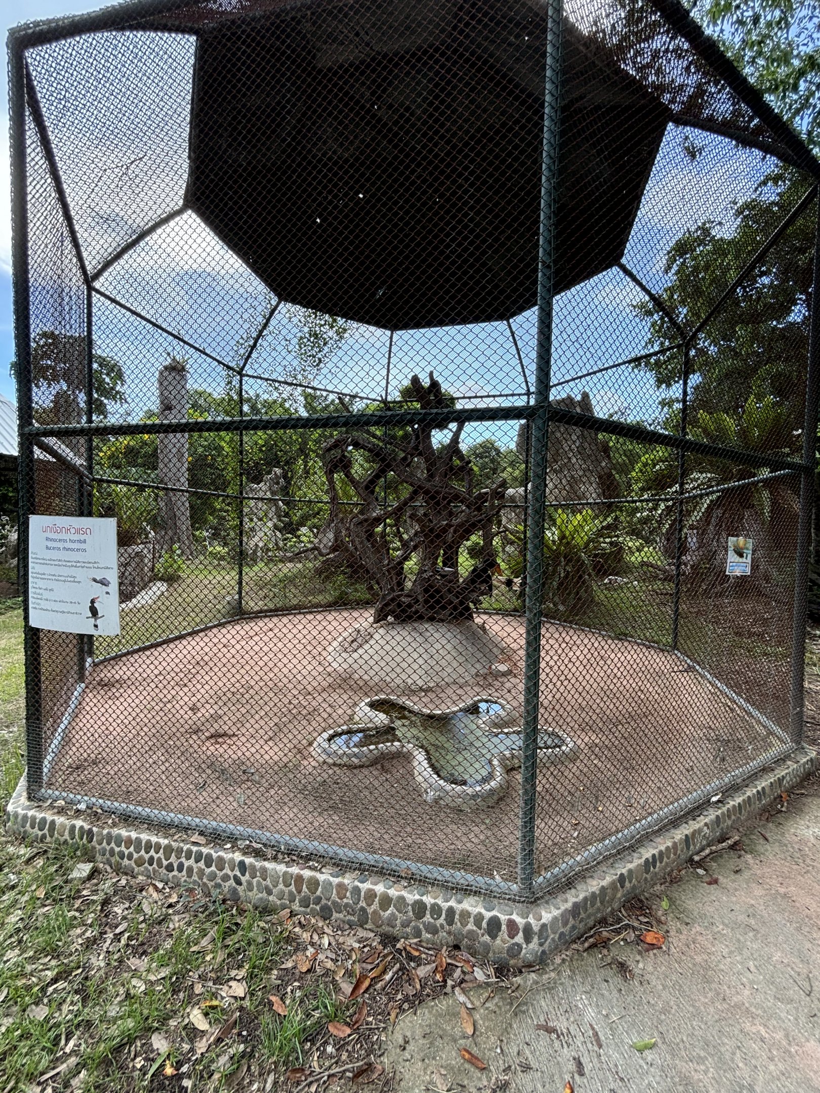 Rhinoceros Hornbill Aviary