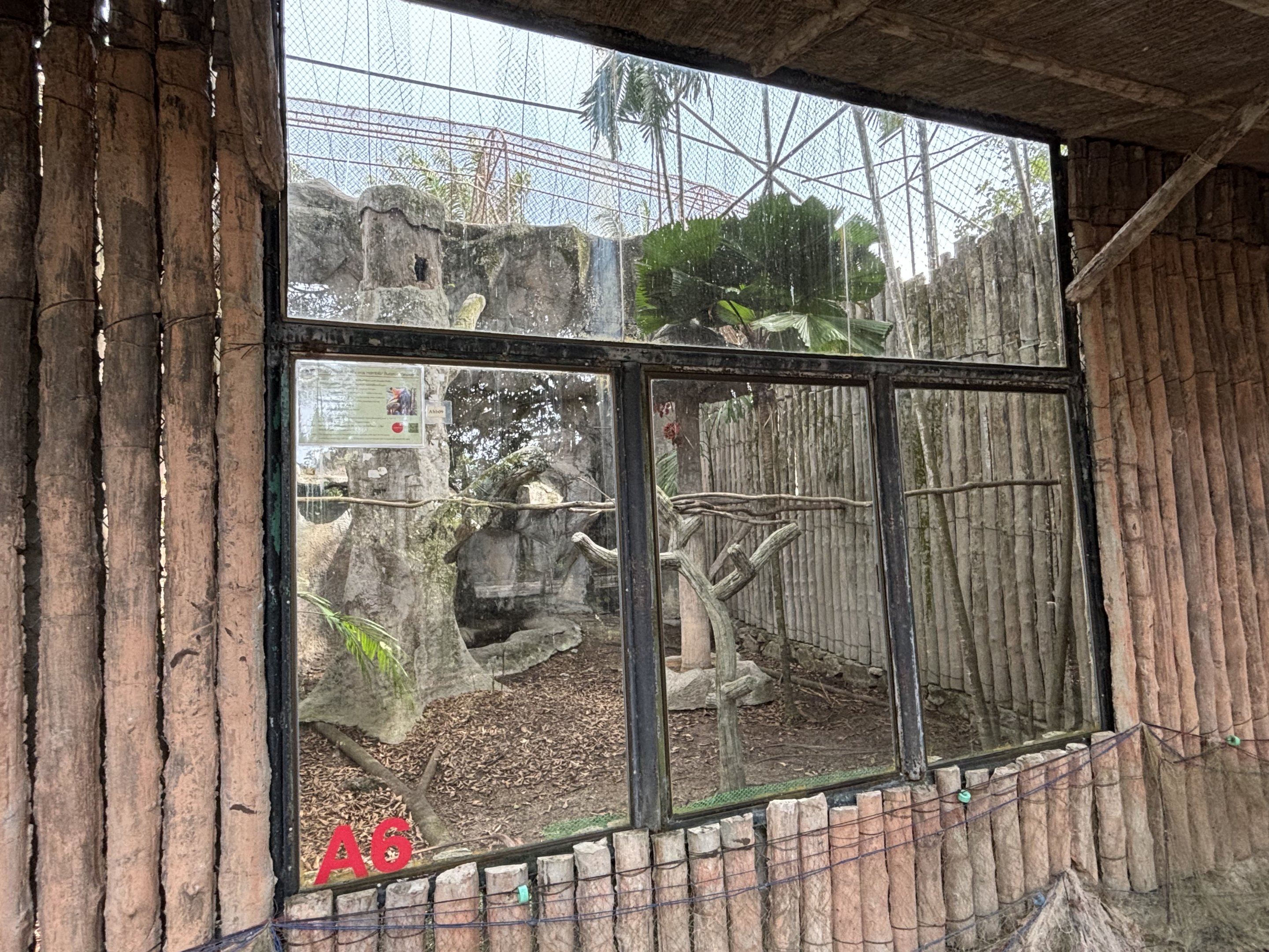 Rhinoceros Hornbill Aviary