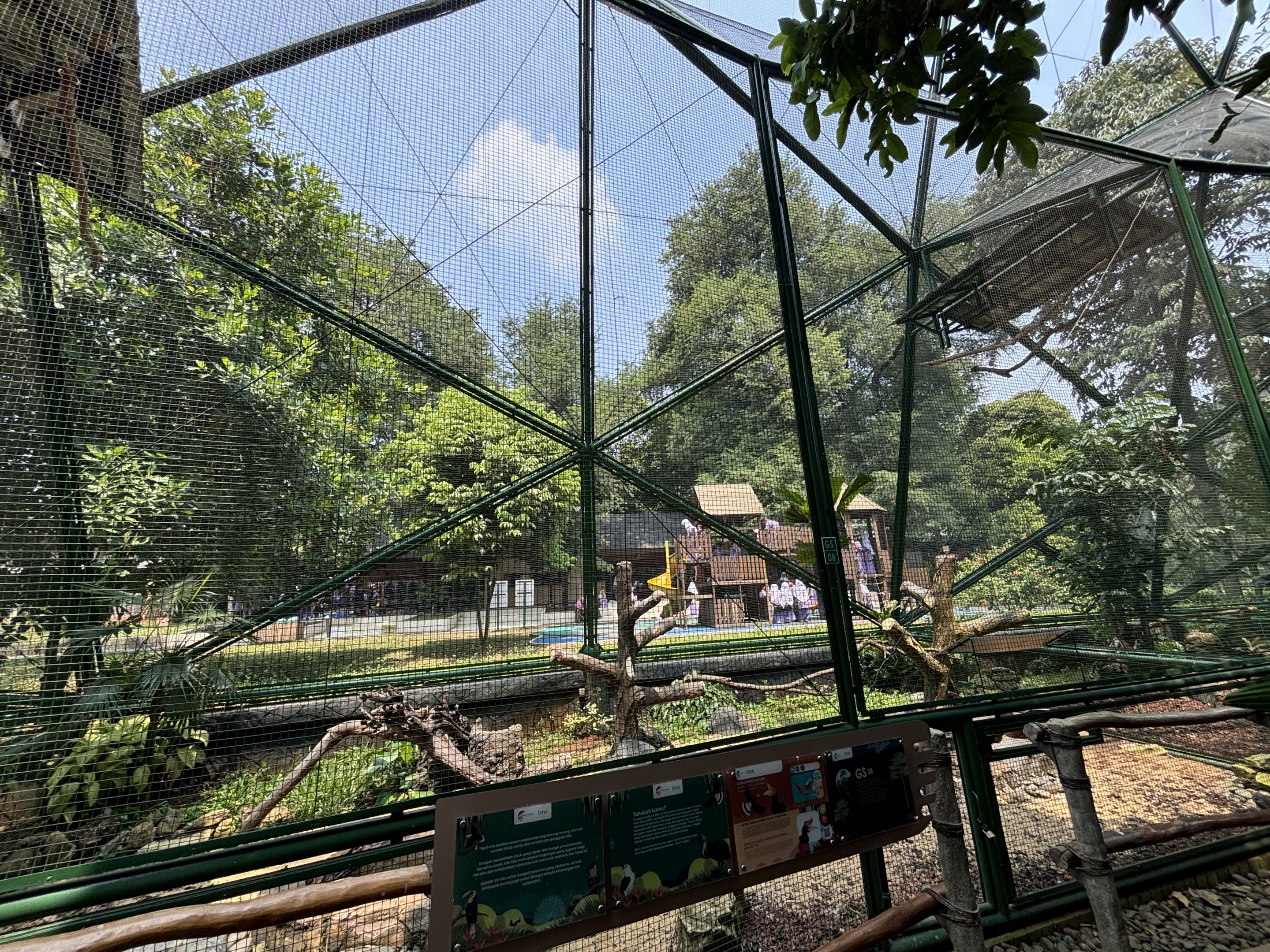 Rhinoceros Hornbill Aviary