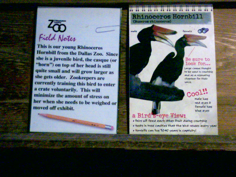 Rhinoceros Hornbill Exhibit Board