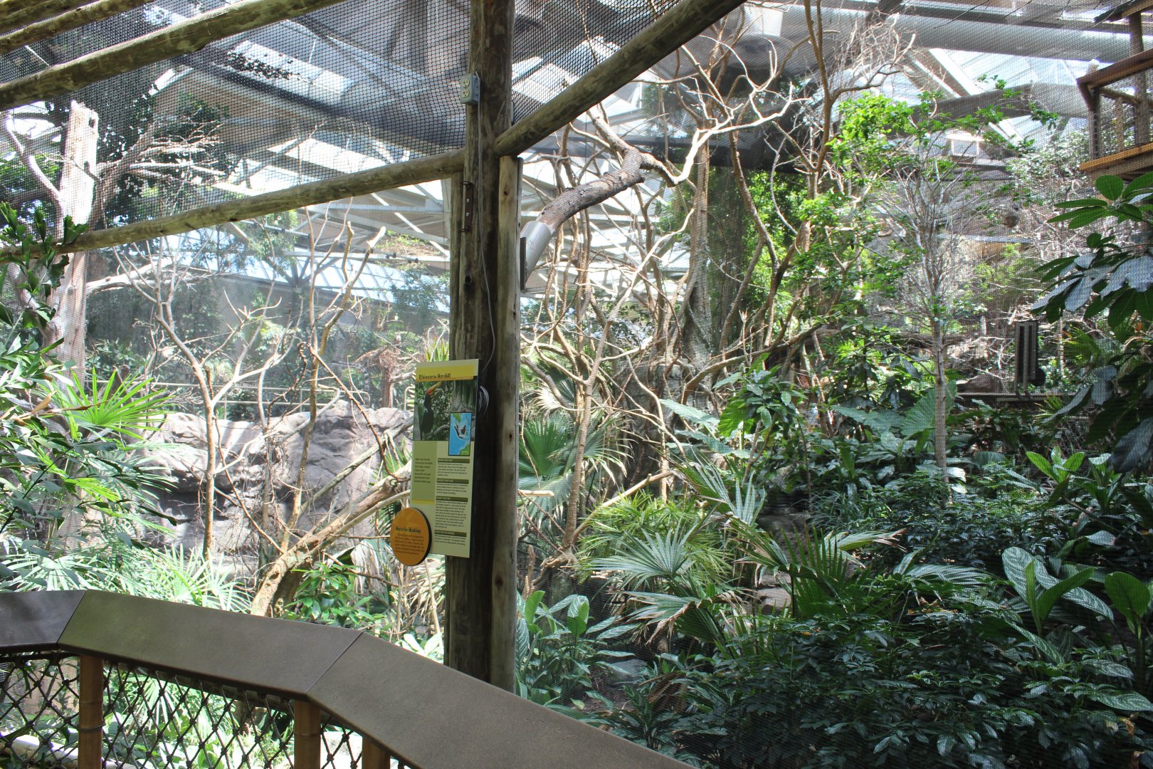 Rhinoceros Hornbill Exhibit - Tropics Trail