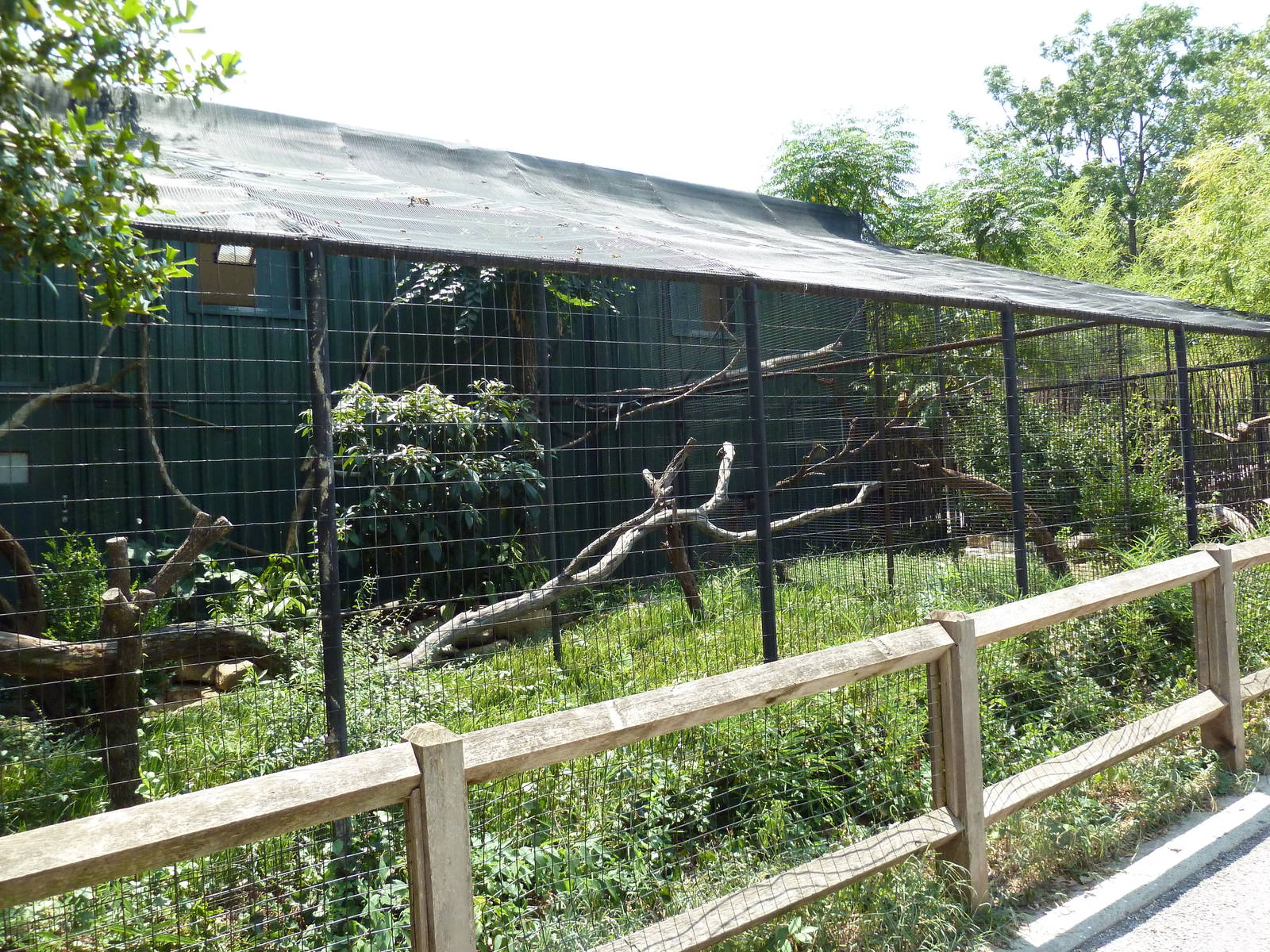 Rhinoceros Hornbill Exhibit