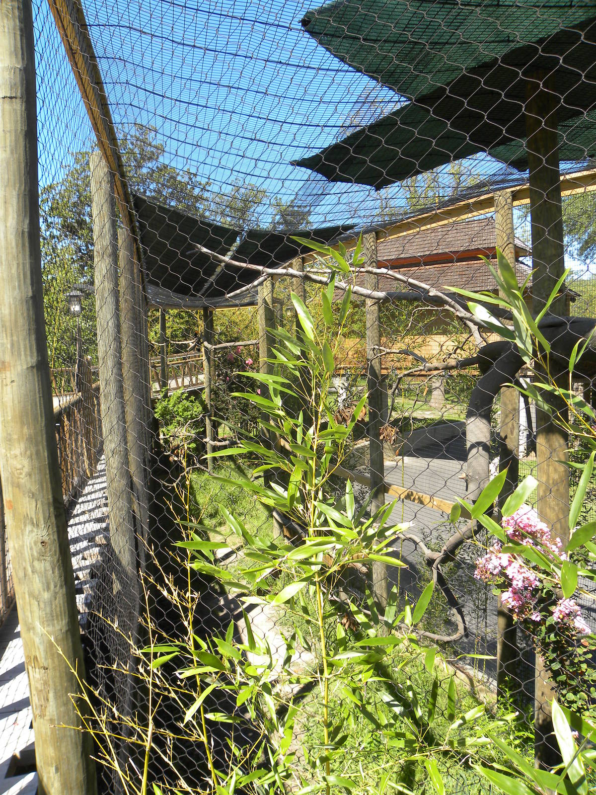 Rhinoceros Hornbill Exhibit