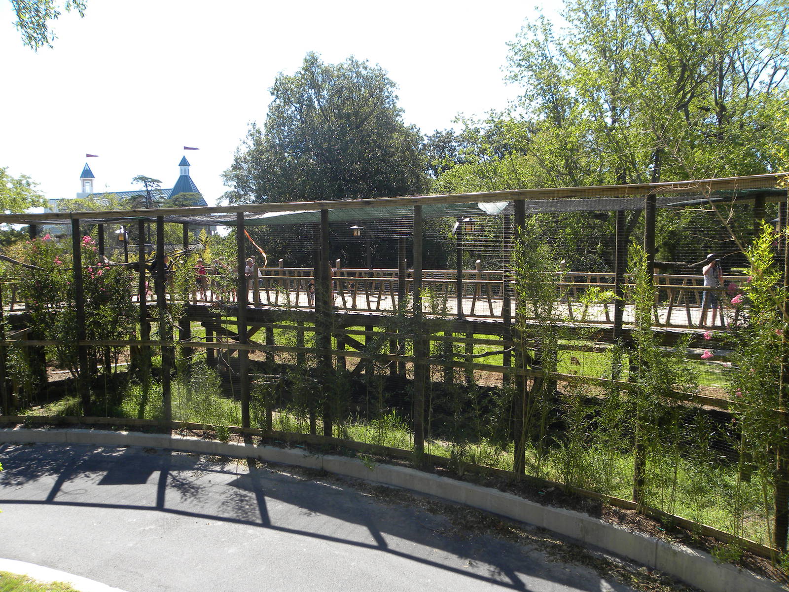Rhinoceros Hornbill Exhibit