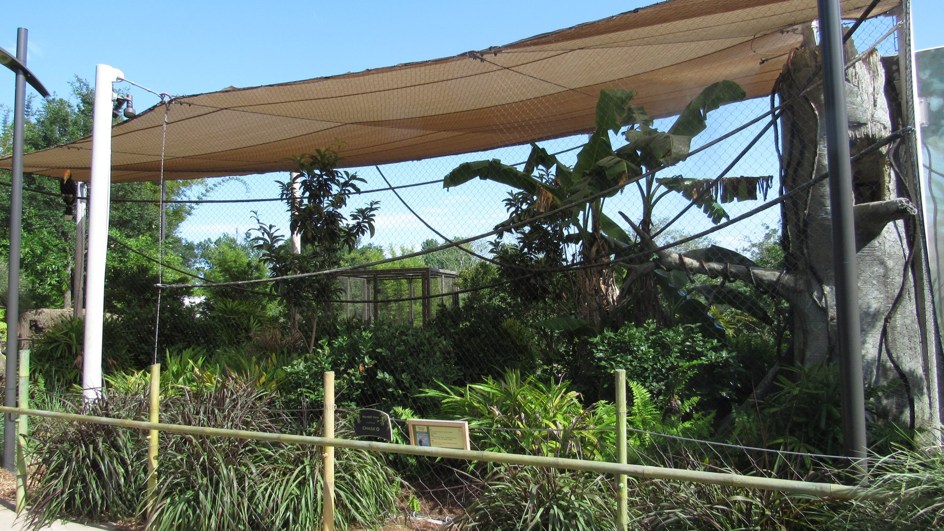 Rhinoceros Hornbill Exhibit