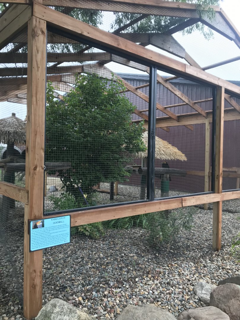 Rhinoceros Hornbill Exhibit