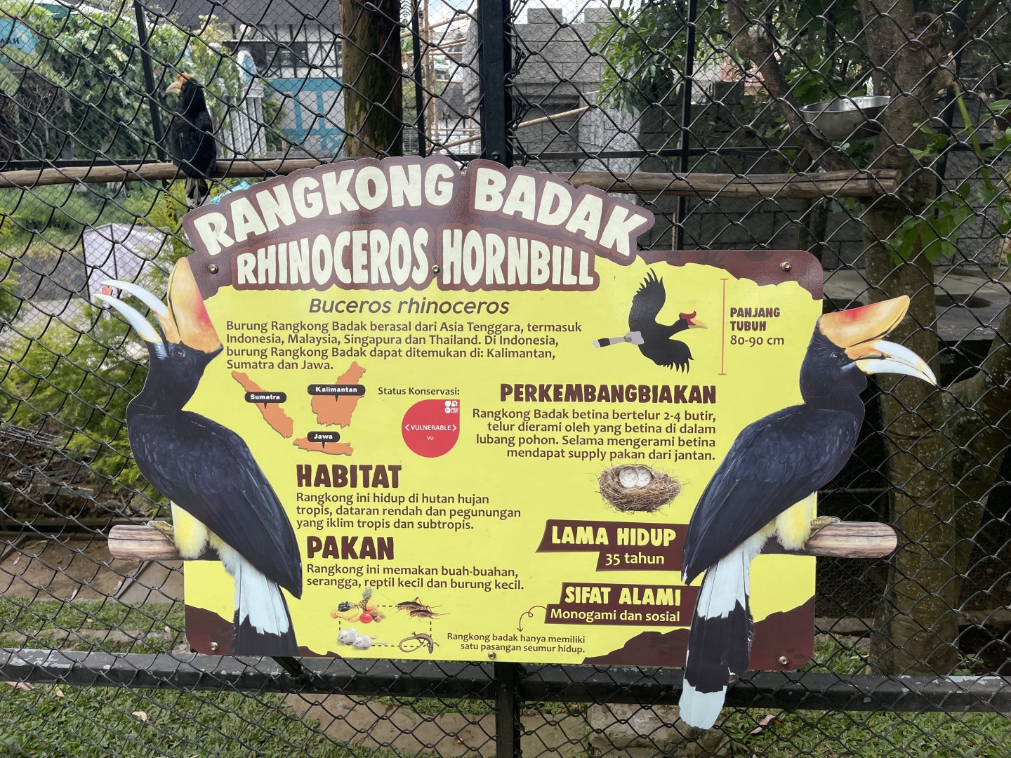 rhinoceros hornbill signage