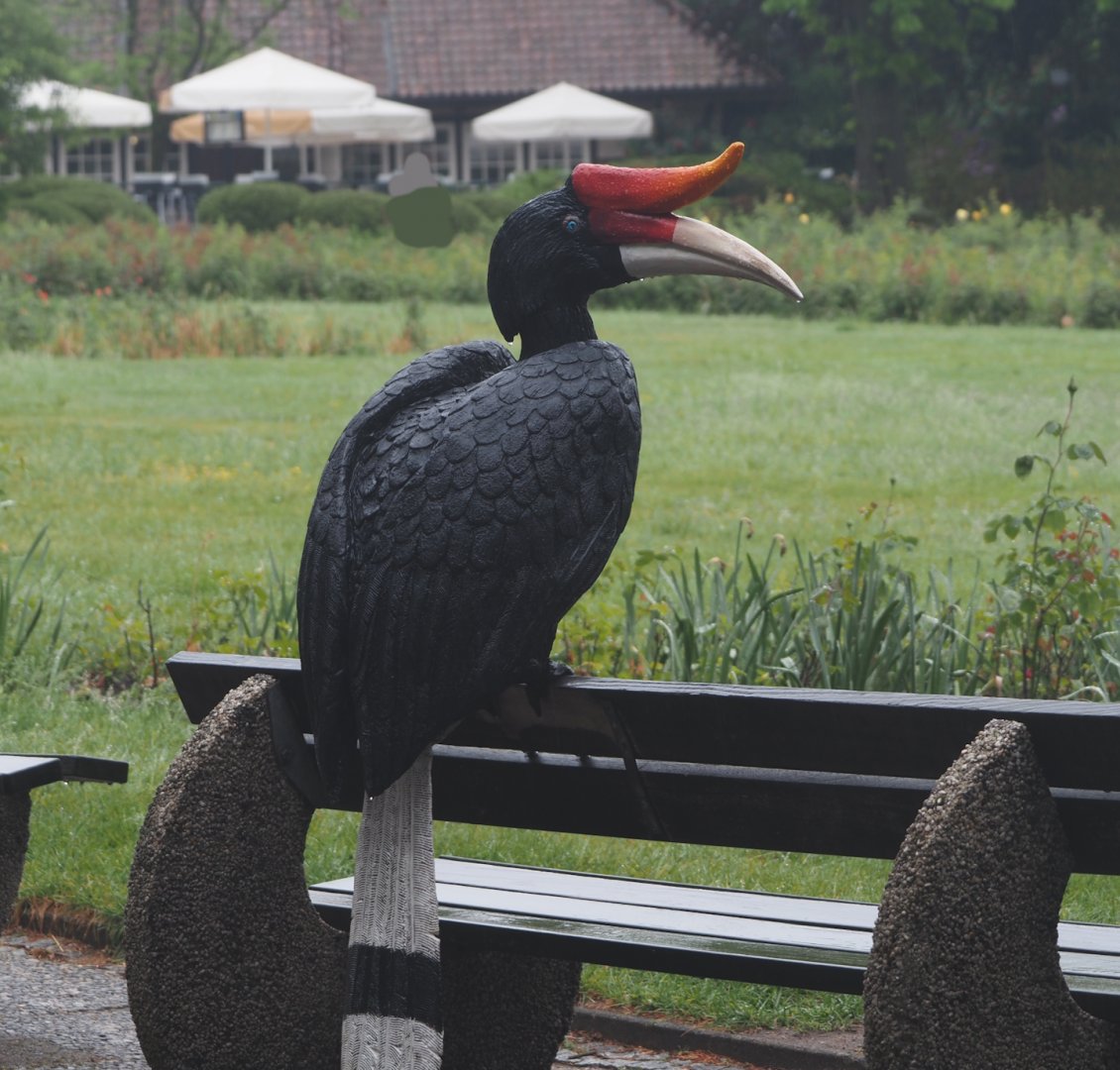 Rhinoceros hornbill statue on bench, 2024-05-22