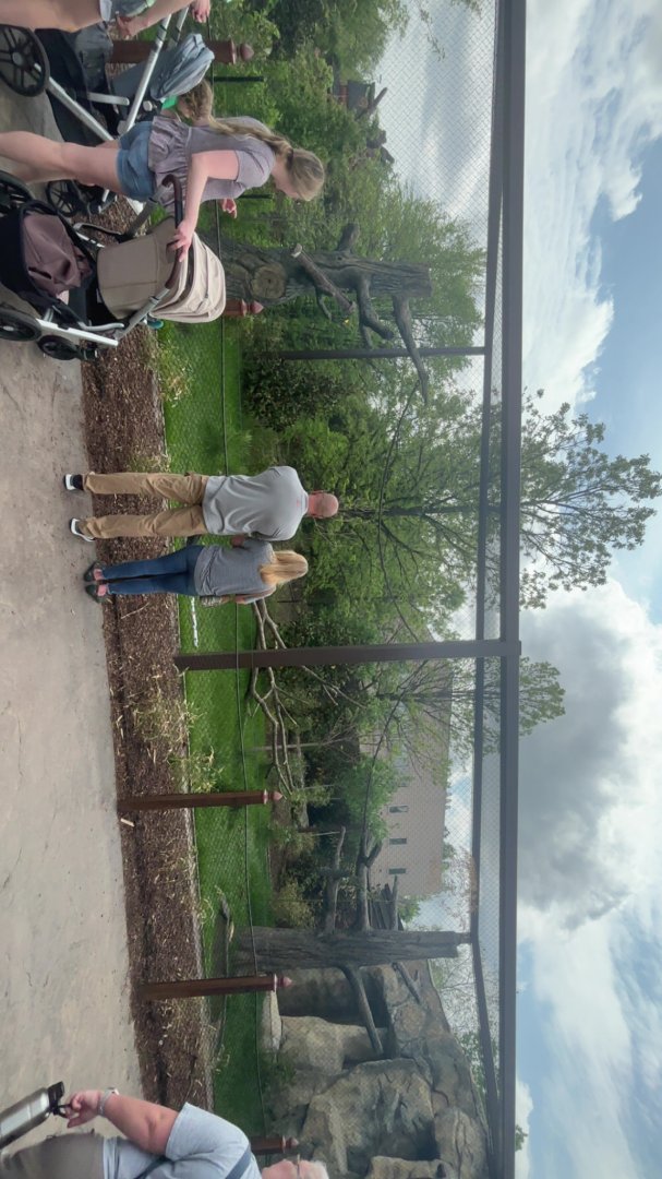 Rhinoceros Hornbill Viewing/Exhibit