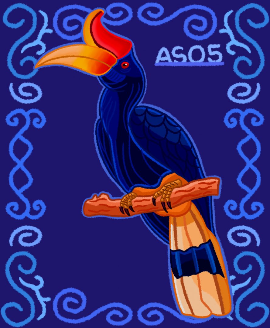 Rhinoceros Hornbill