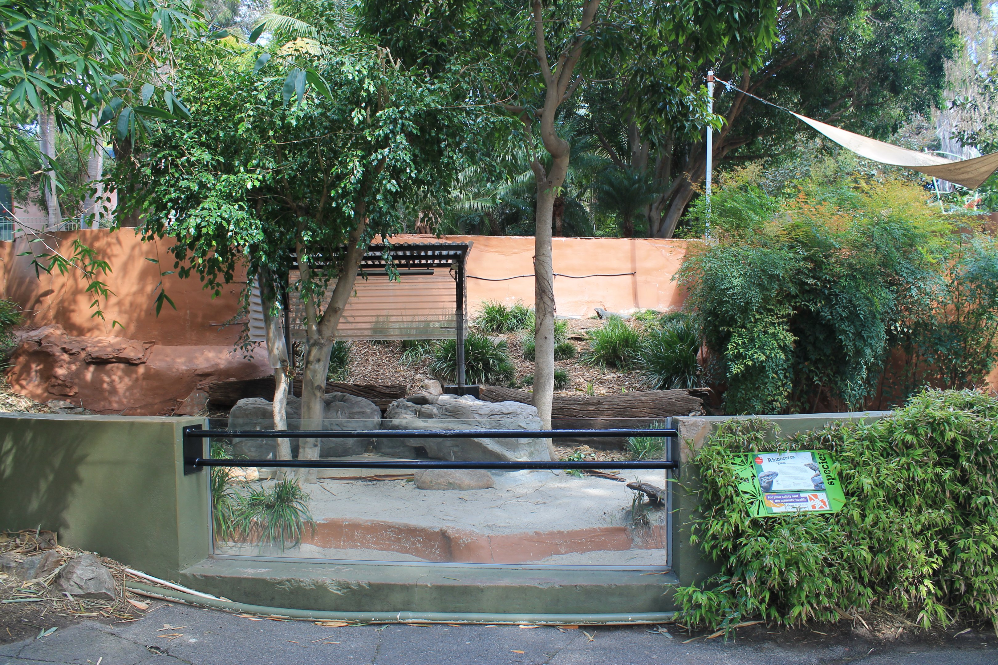 Rhinoceros Iguana enclosure