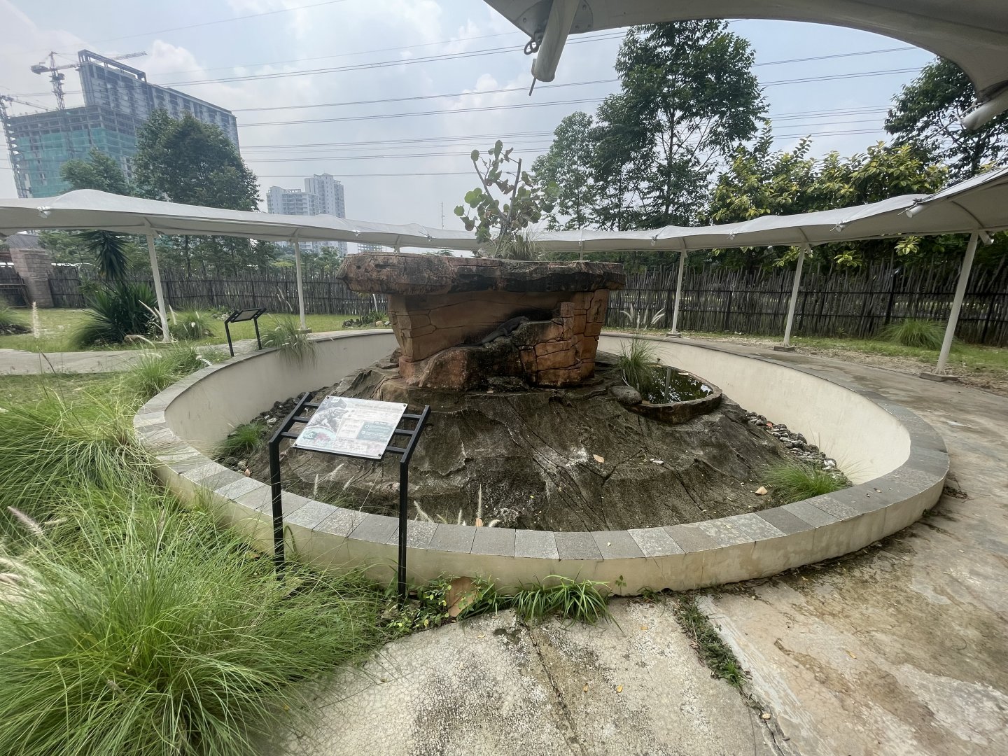 rhinoceros iguana exhibit - aviary park