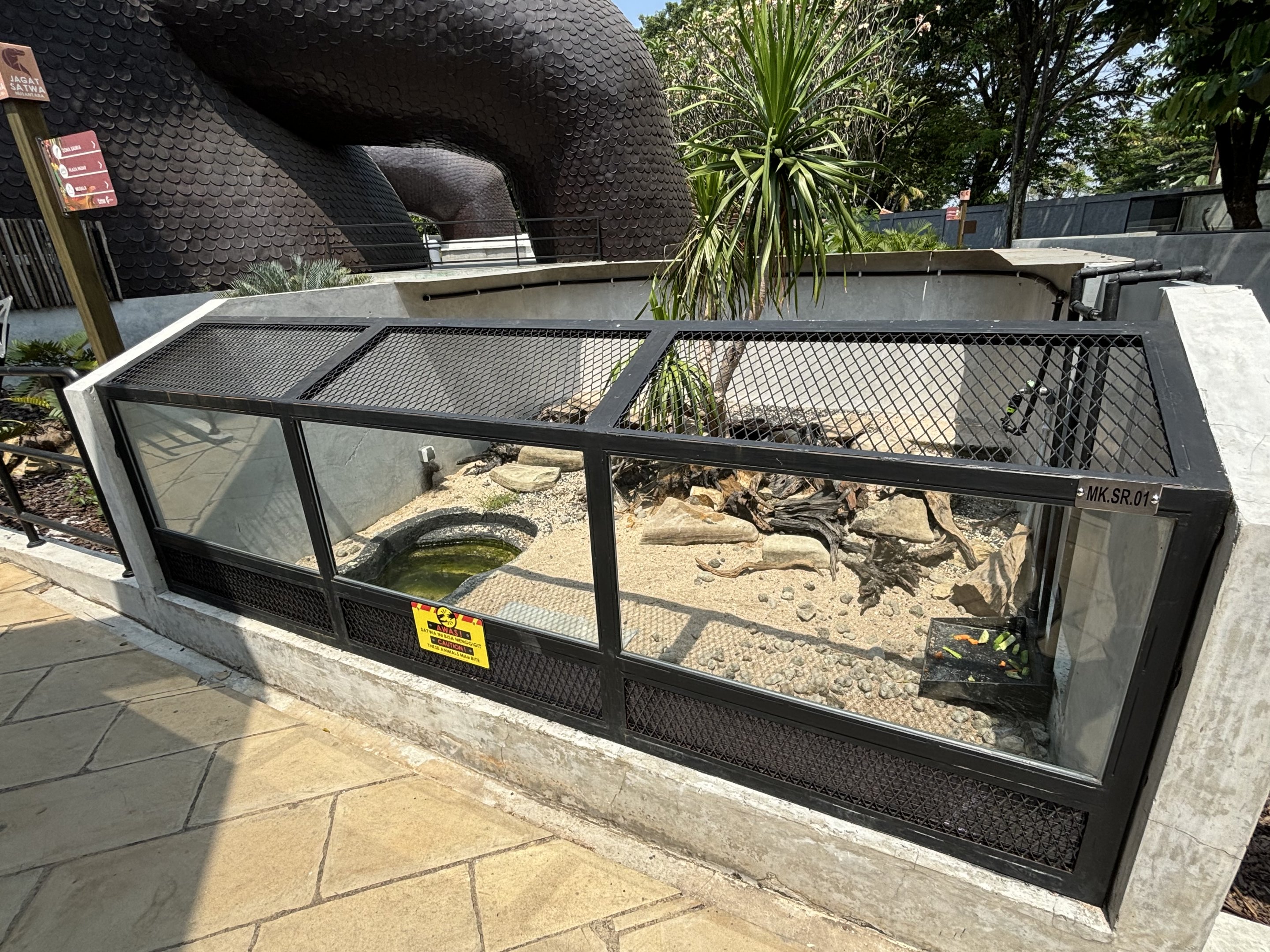 Rhinoceros Iguana Exhibit