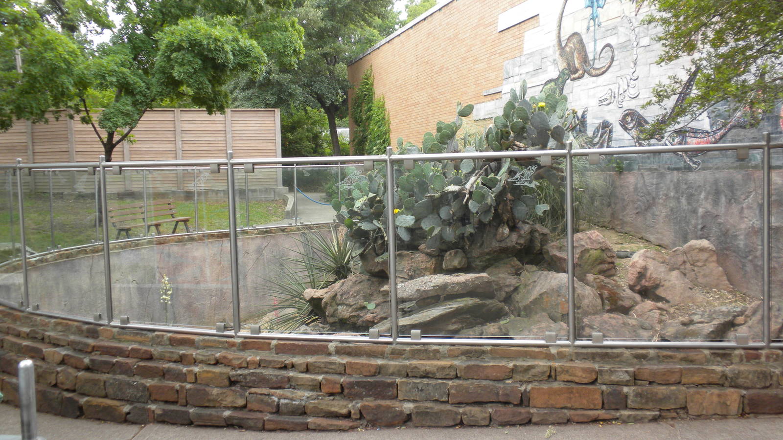 Rhinoceros Iguana Exhibit