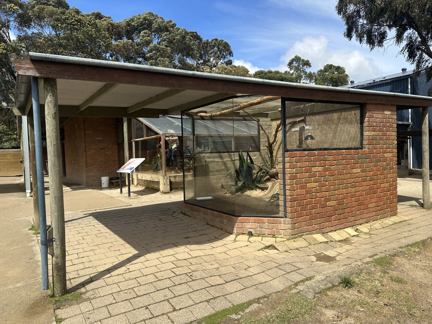 Rhinoceros Iguana House