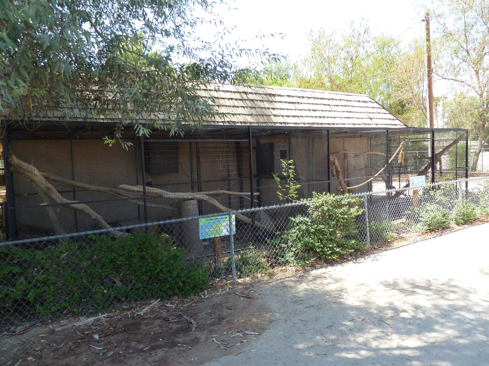 Rhinoceros Iguana + Red-Fronted Macaw Exhibits