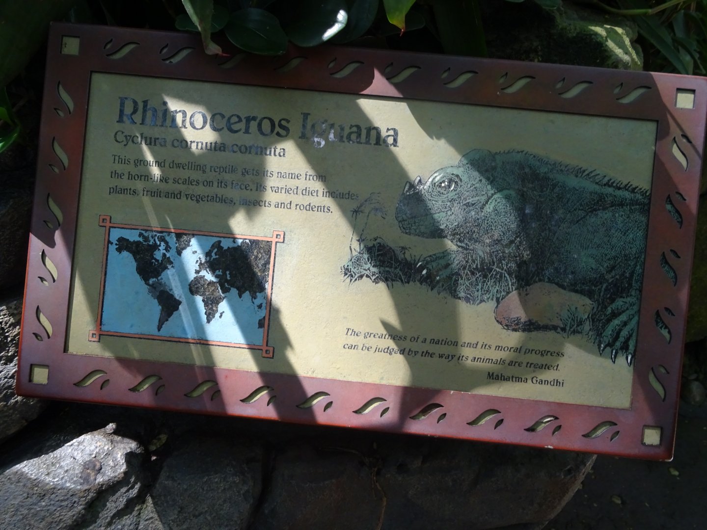 Rhinoceros Iguana Signage at Disney's Animal Kingdom (2014)
