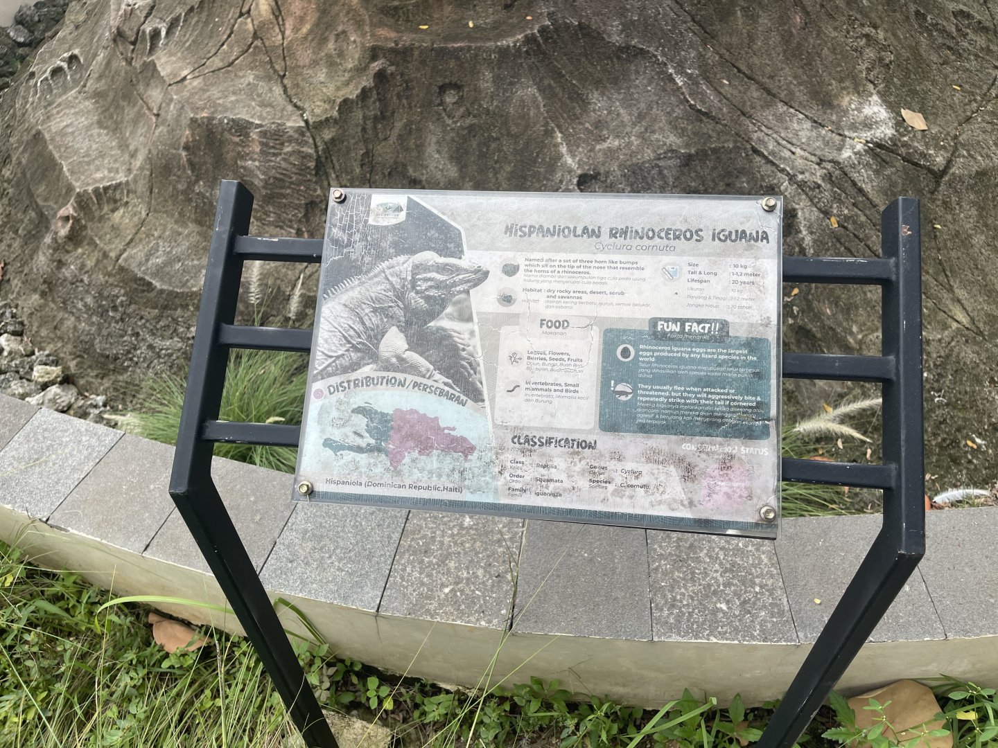 rhinoceros iguana signage - aviary park