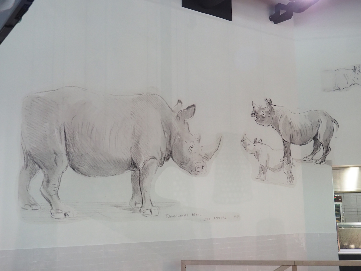 Rhinoceros mural in Savanna restaurant, 2023-07-02