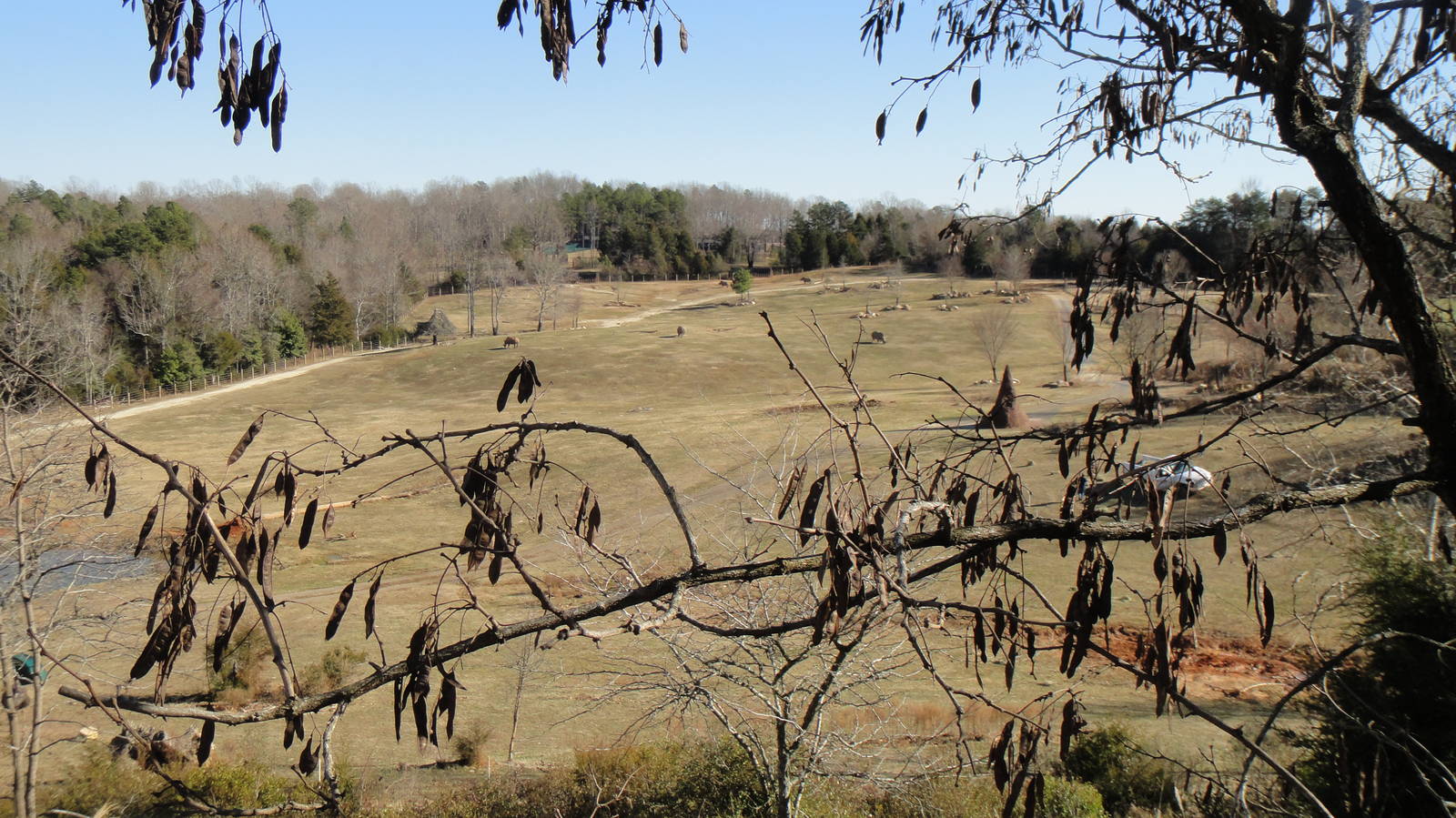 Rhinoceroses exhibition area at North Carolina zoo 2015-1-19