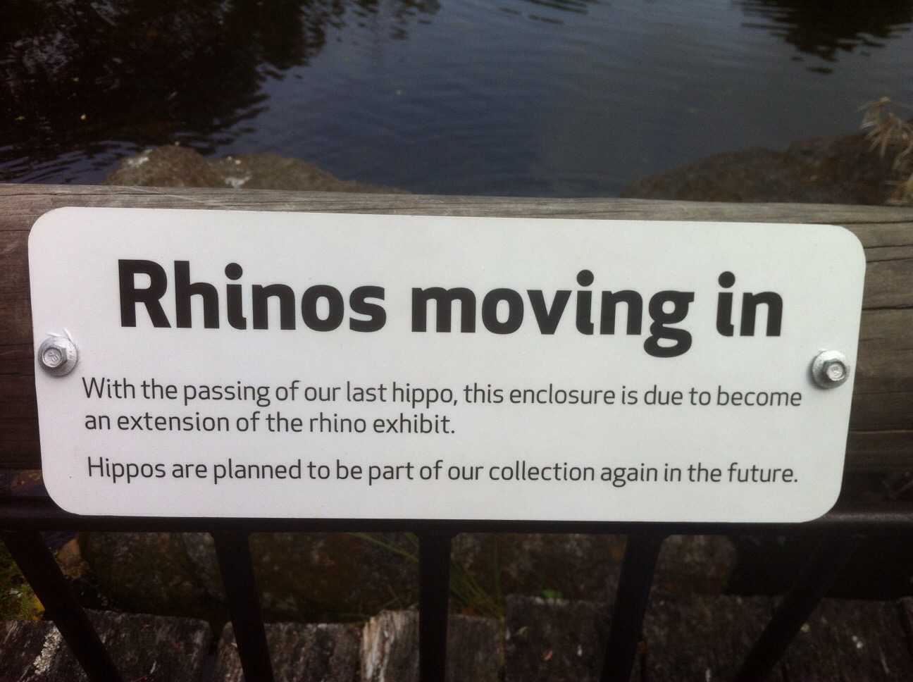 Rhinos moving in