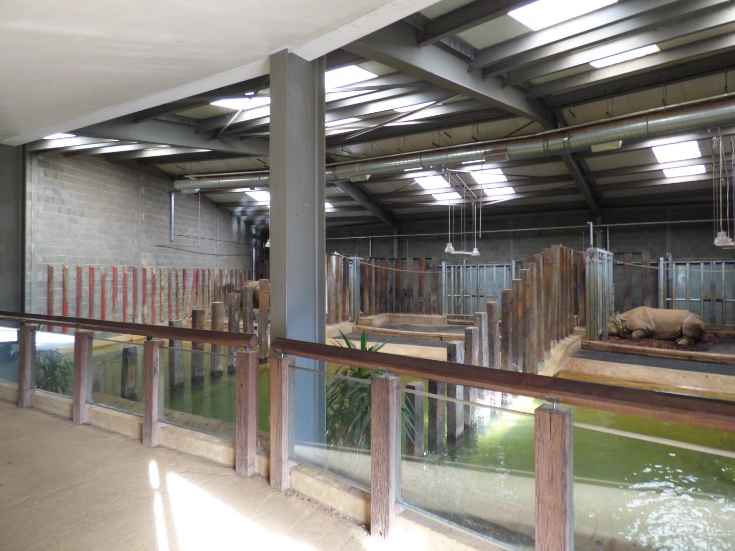 Rhinos of Nepal Indoor (GOHR)