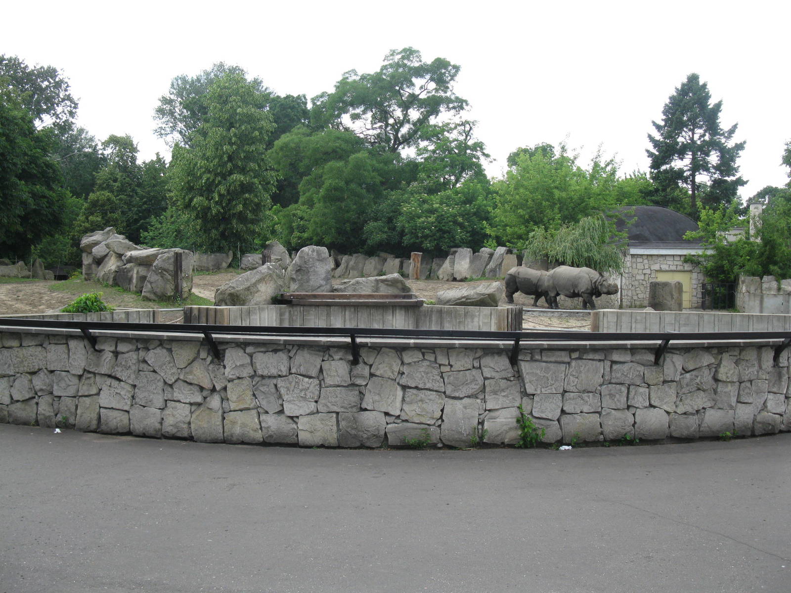 Rhino's outdoor exhibit